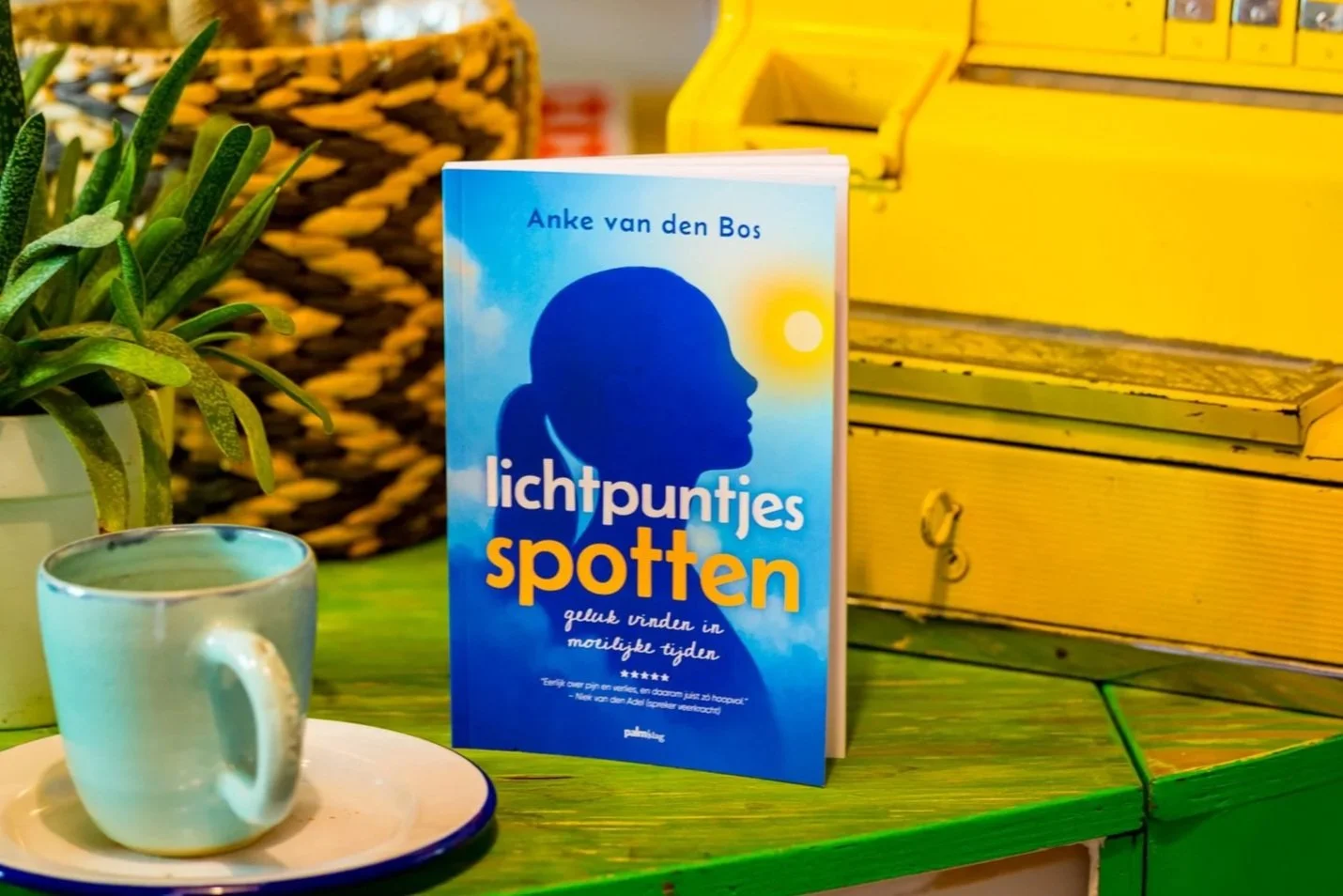 Boek lichtpuntjes spotten