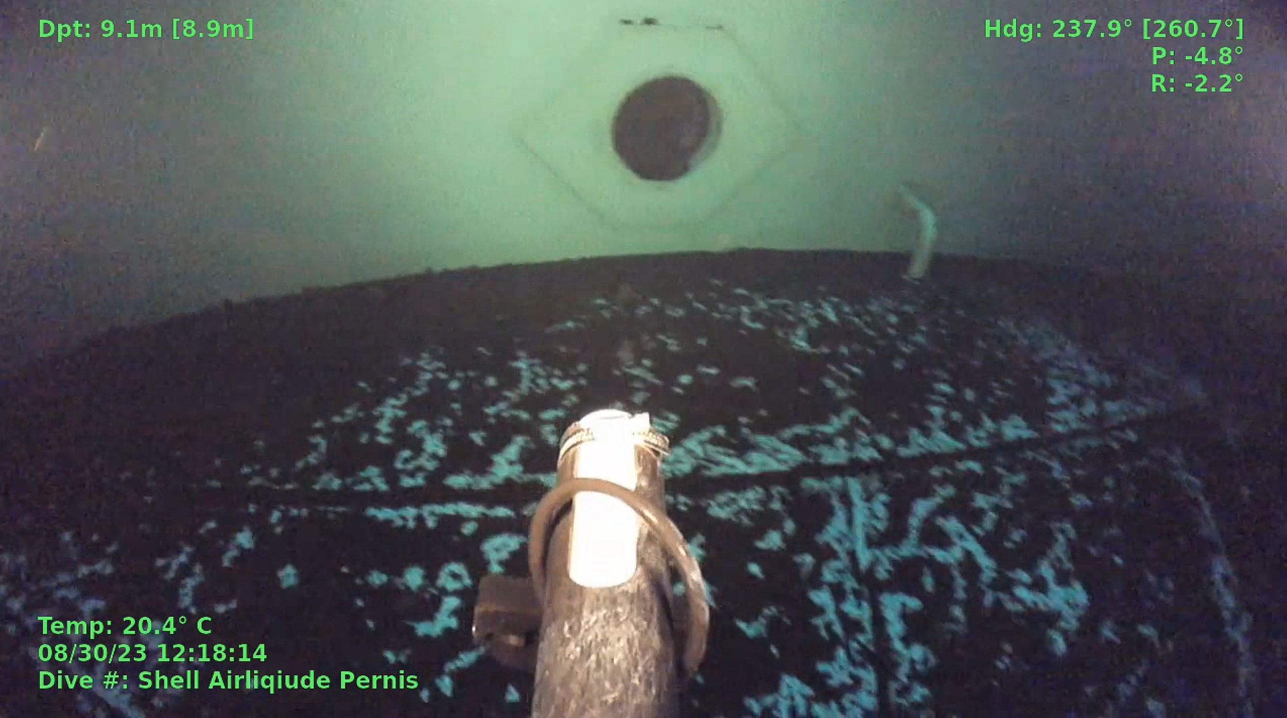 underwater picture using Mini ROV