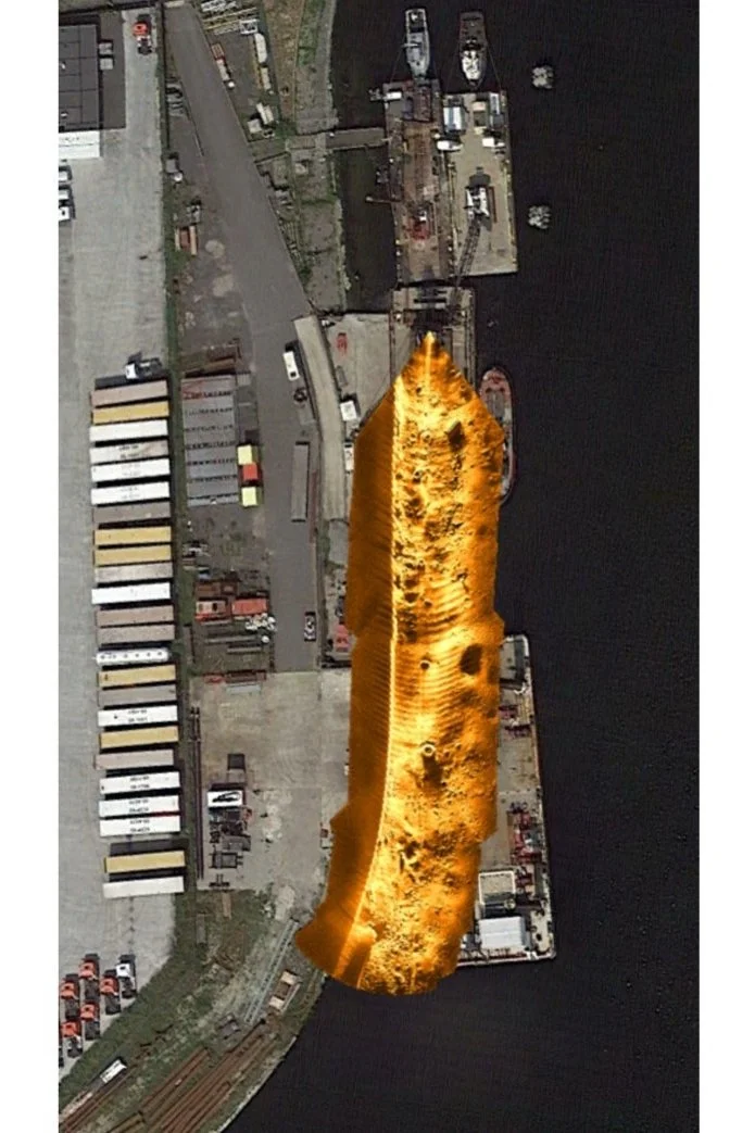 Aerial view of a dock area with boats, warehouses, and containers, with a large, glowing, golden whale digitally superimposed over the water.