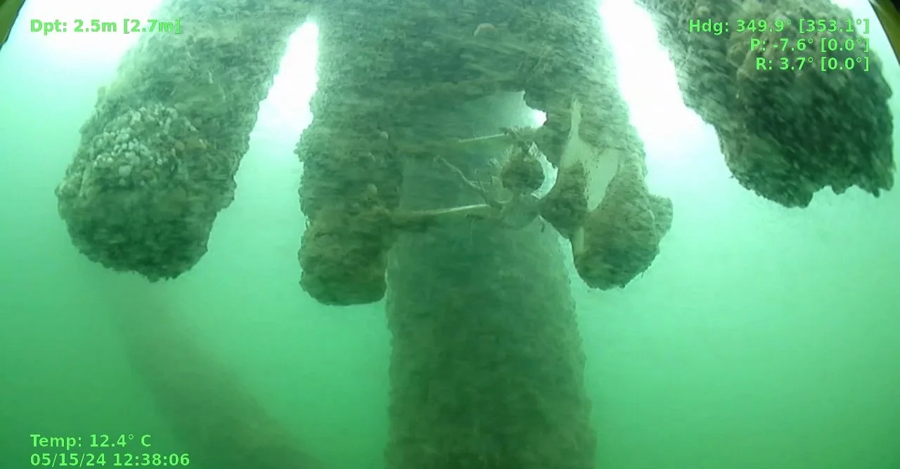 Underwater view of a submerged structure, possibly a bridge or pier, with algae and marine growth, and a crab visible near the center.