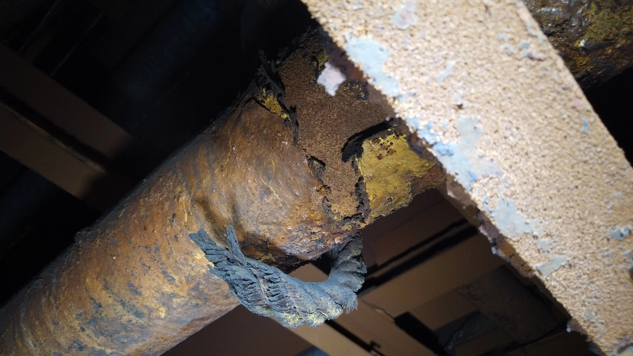 damage assassement