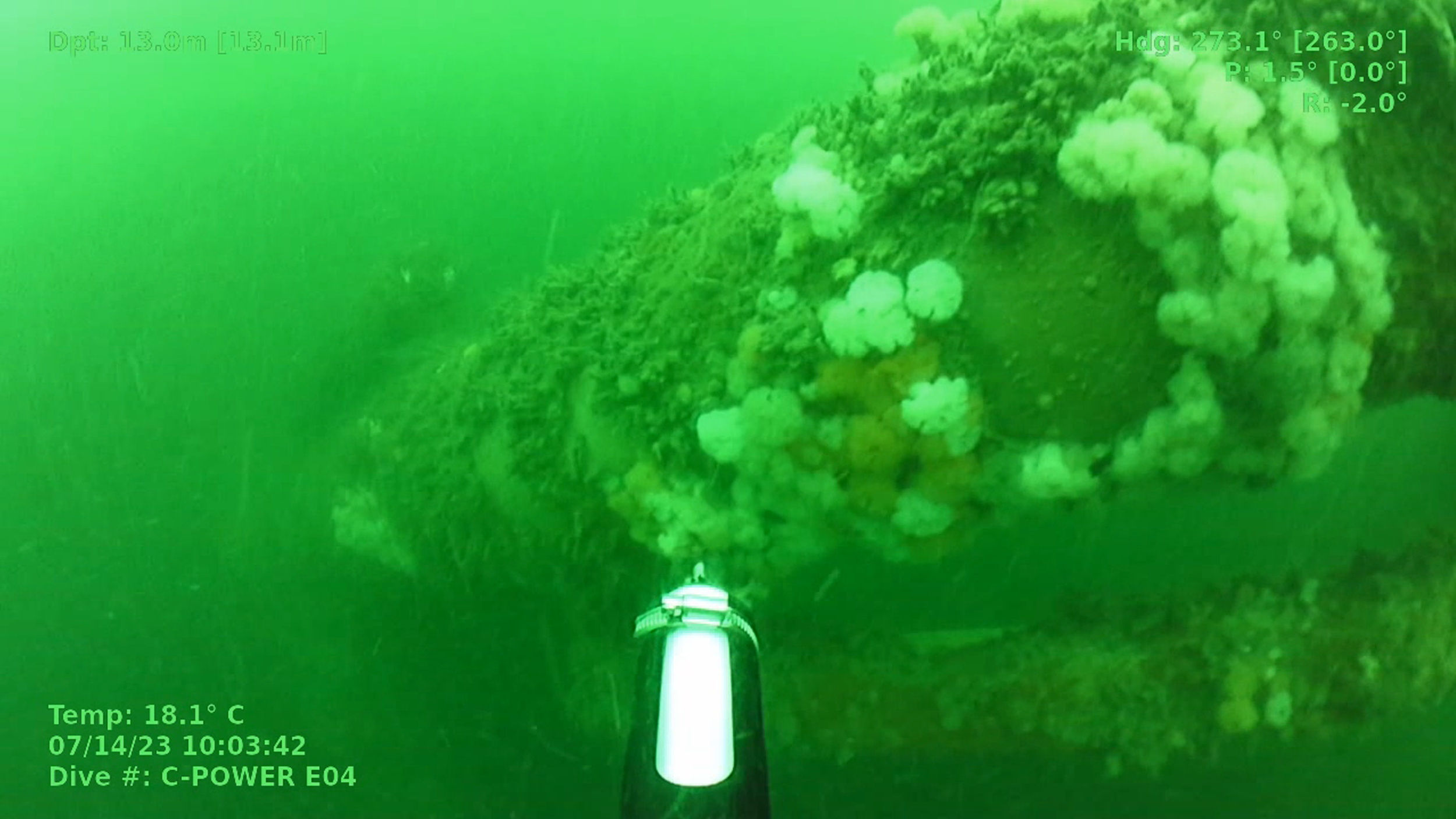 Cathodic protection data, ROVs