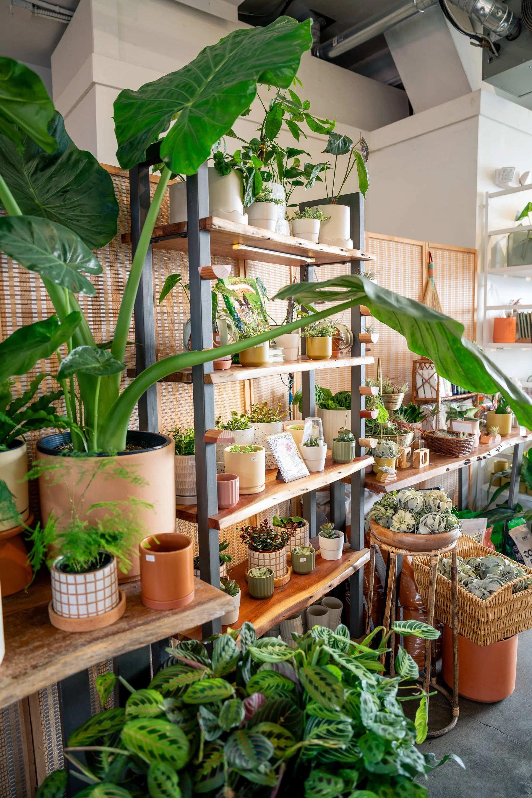 That Feeling Co.-13.jpg