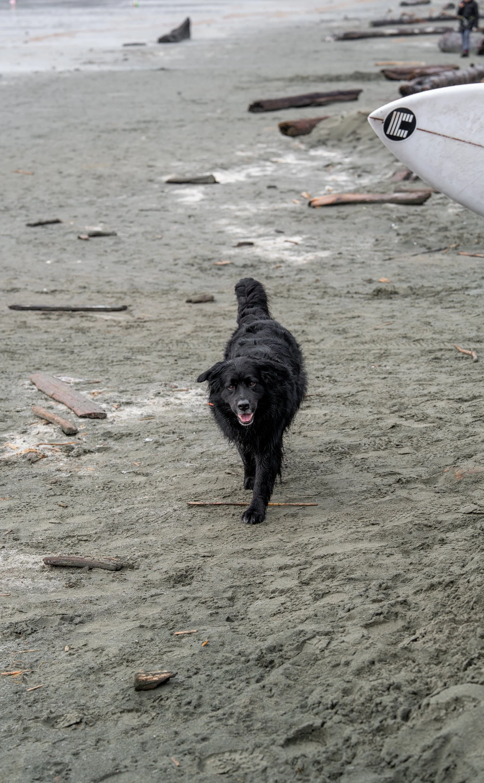 MATUSE X ADAM TORY-17.jpg