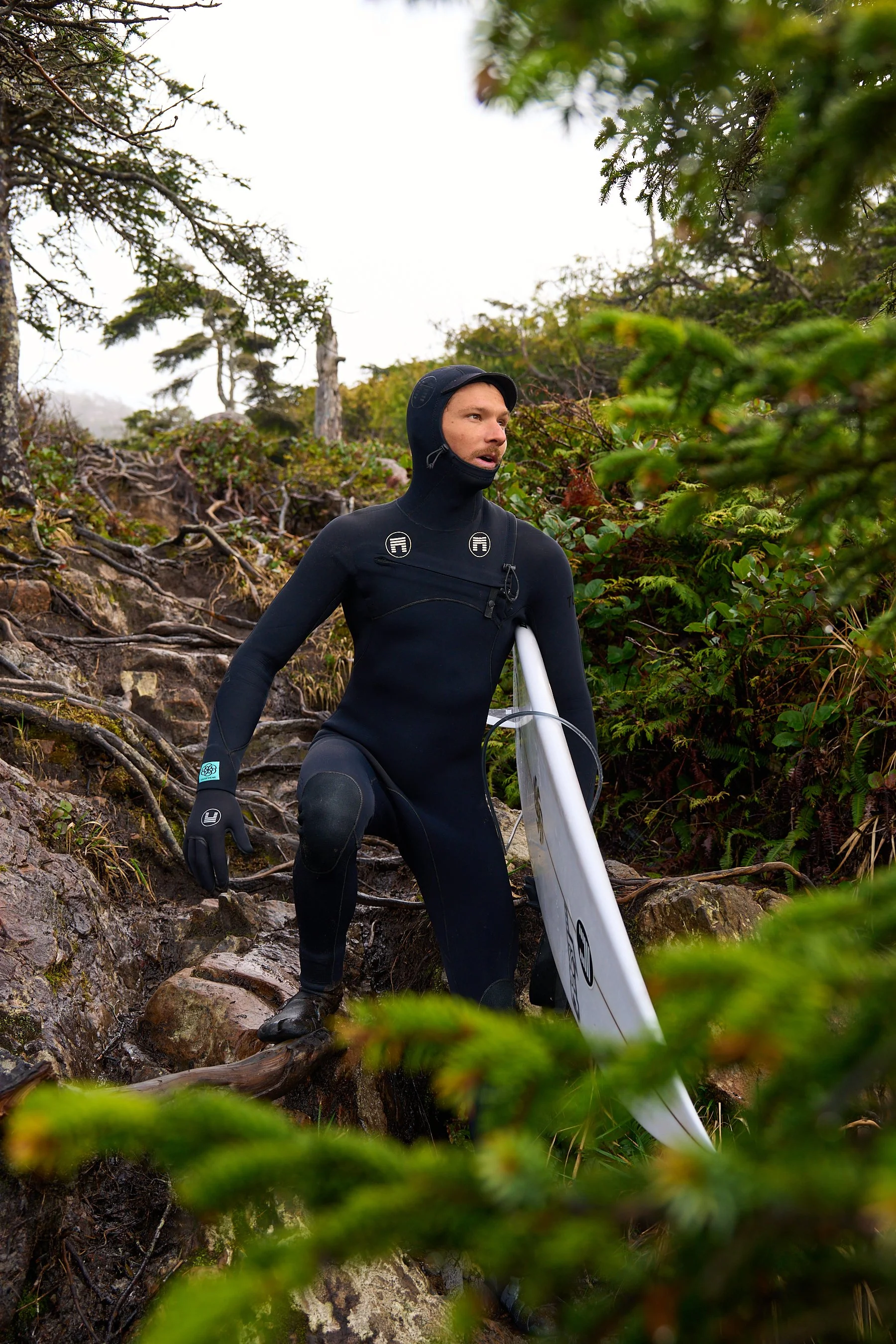 C1 Foliage MATUSE 2.jpg