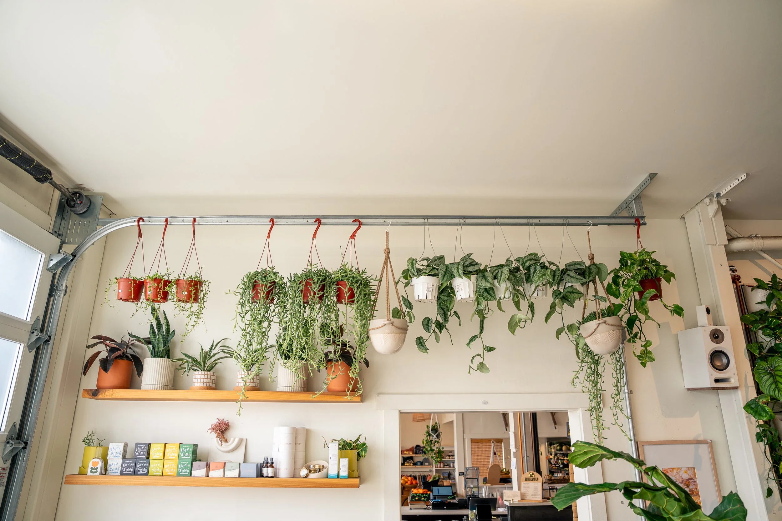 That Feeling Co.-14.jpg