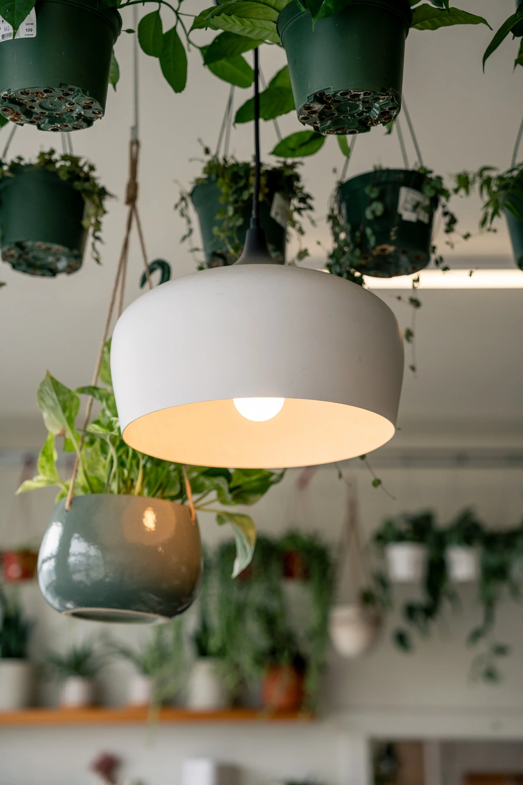 That Feeling Co.-20.jpg