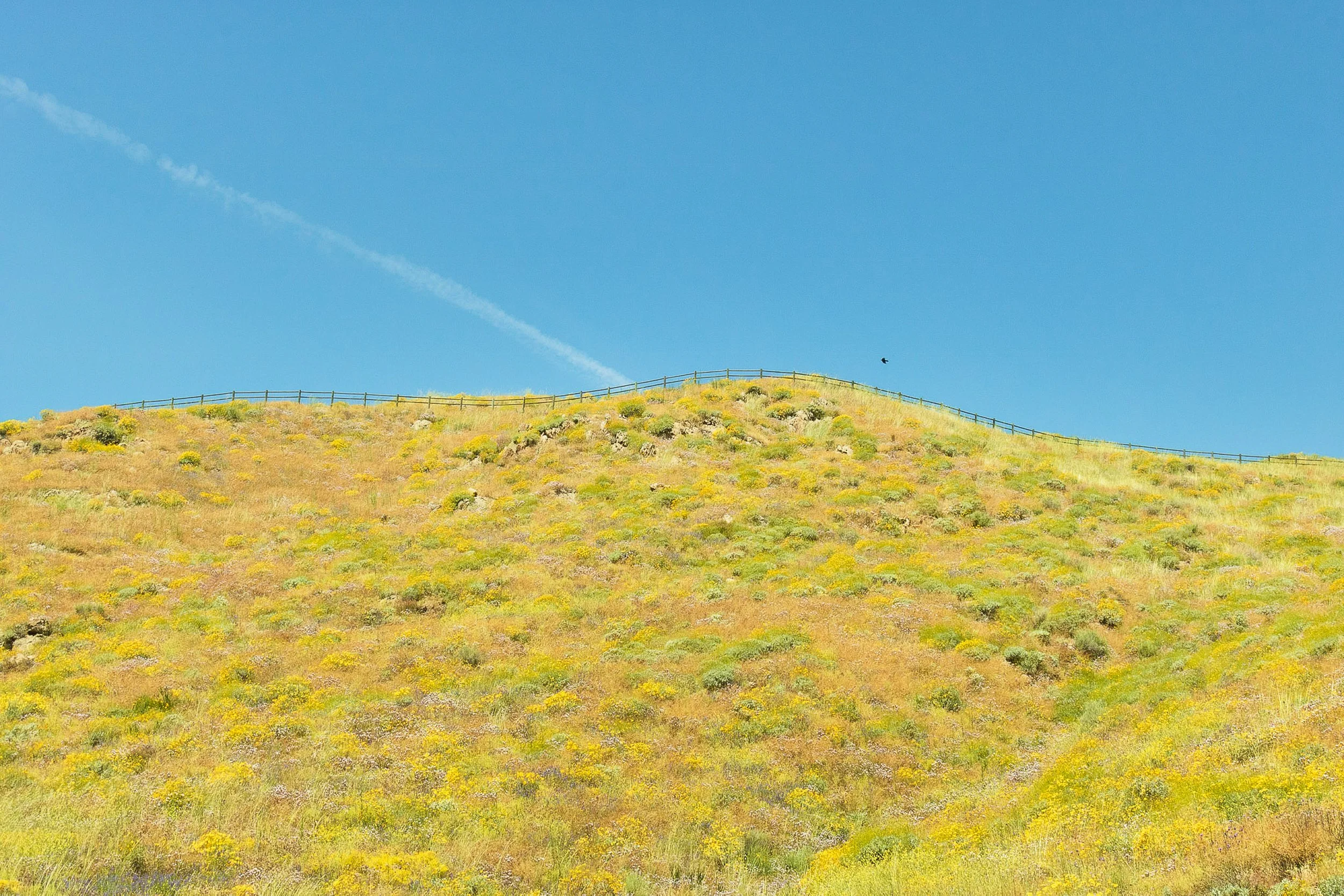 Diamond Valley-2_IonWeb.jpg