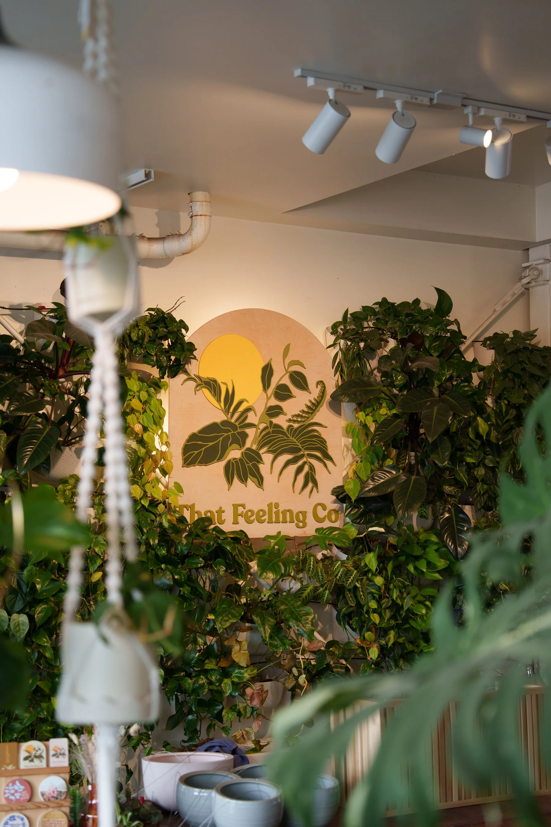 That Feeling Co.-7.jpg