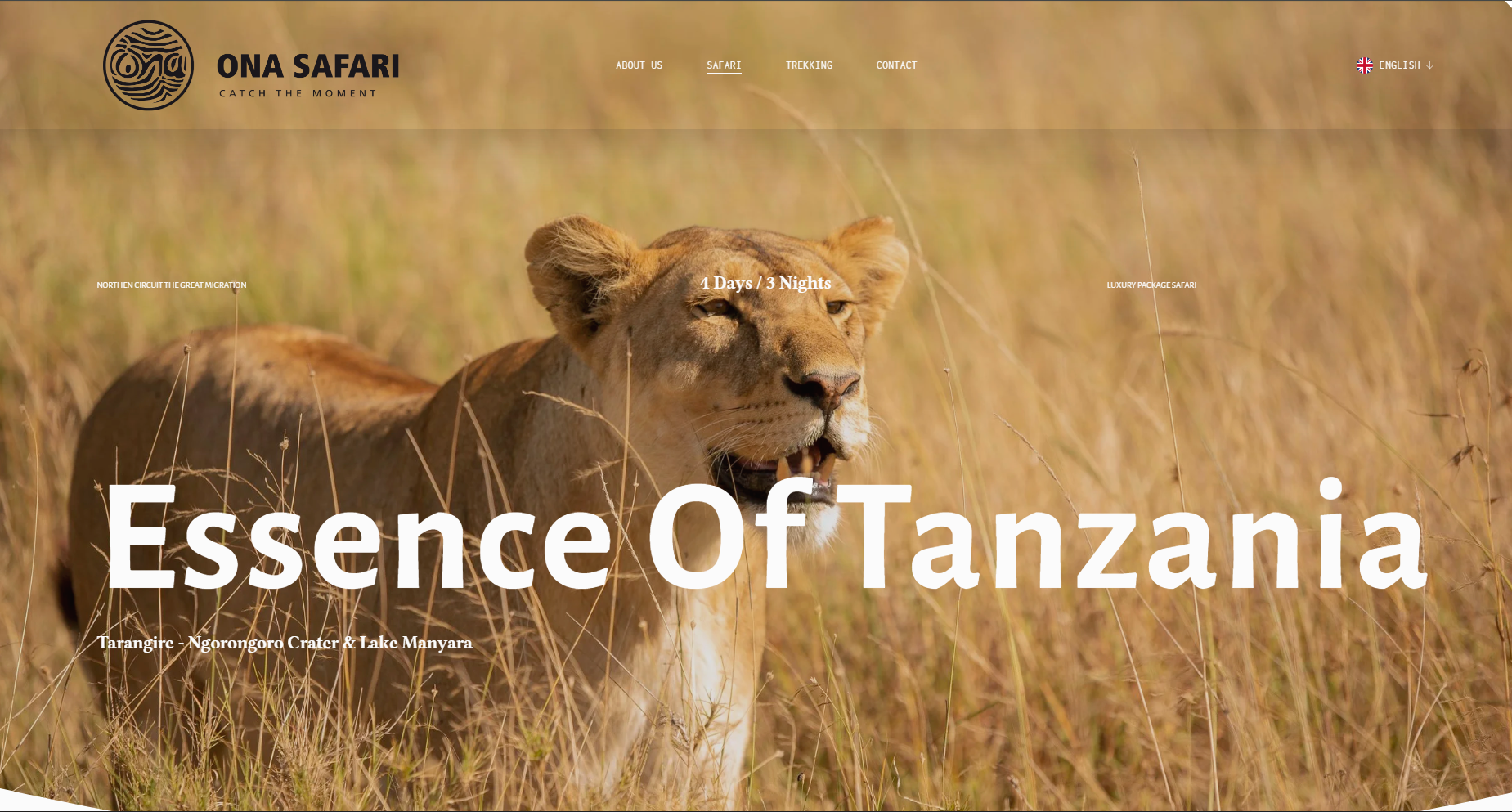 A lioness in a grassy plain with tall dry grass, advertising a 4-day, 3-night safari tour in Tanzania by Ona Safari.