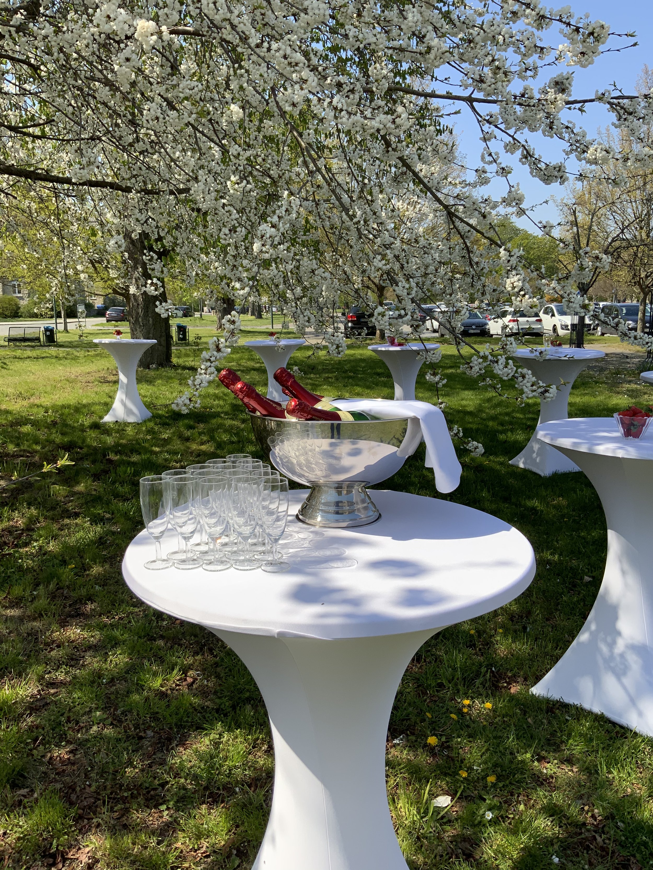 außen grün stehtisch deko weiß feier festlich.jpeg