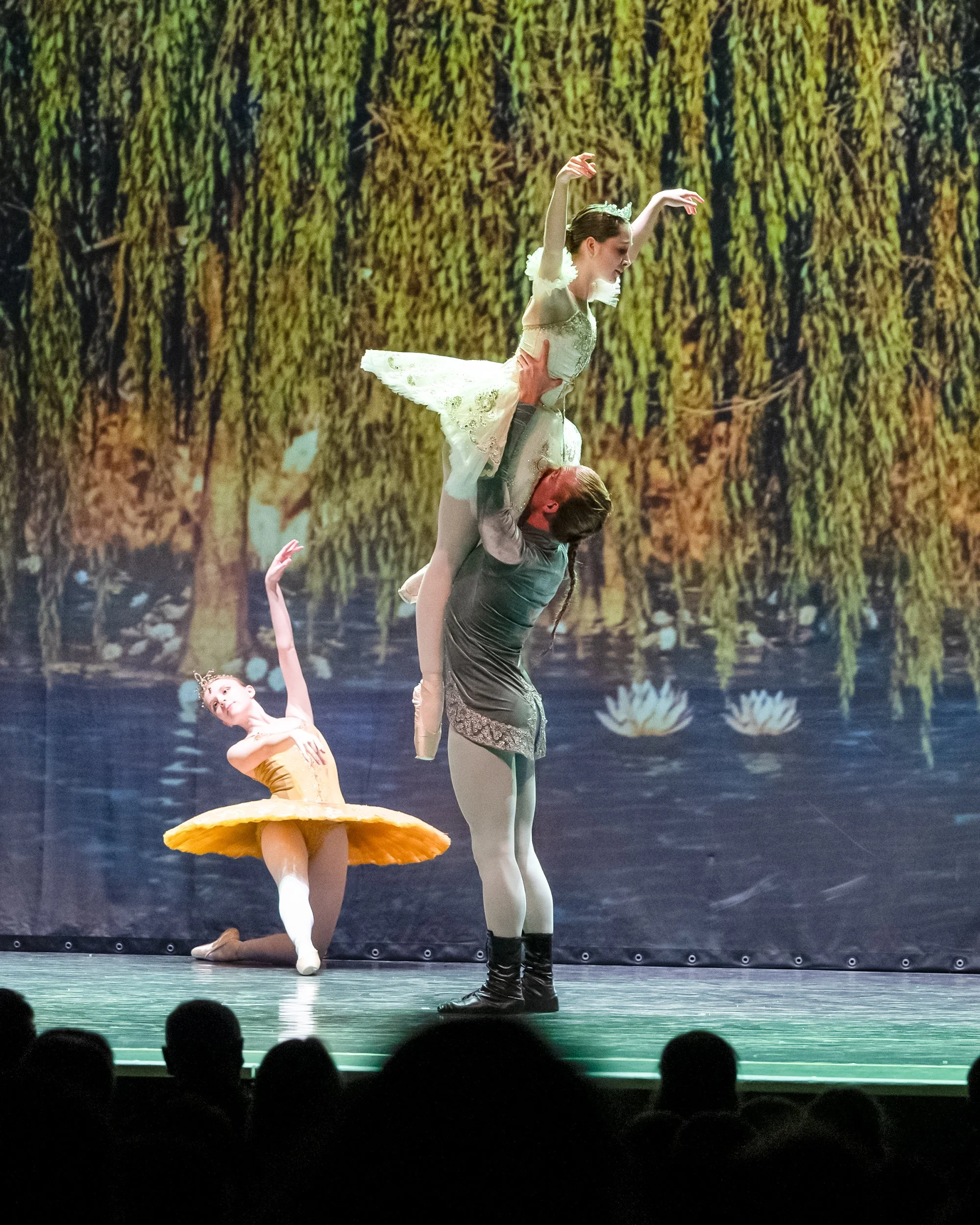 Dornröschen Ballet - 11/2025