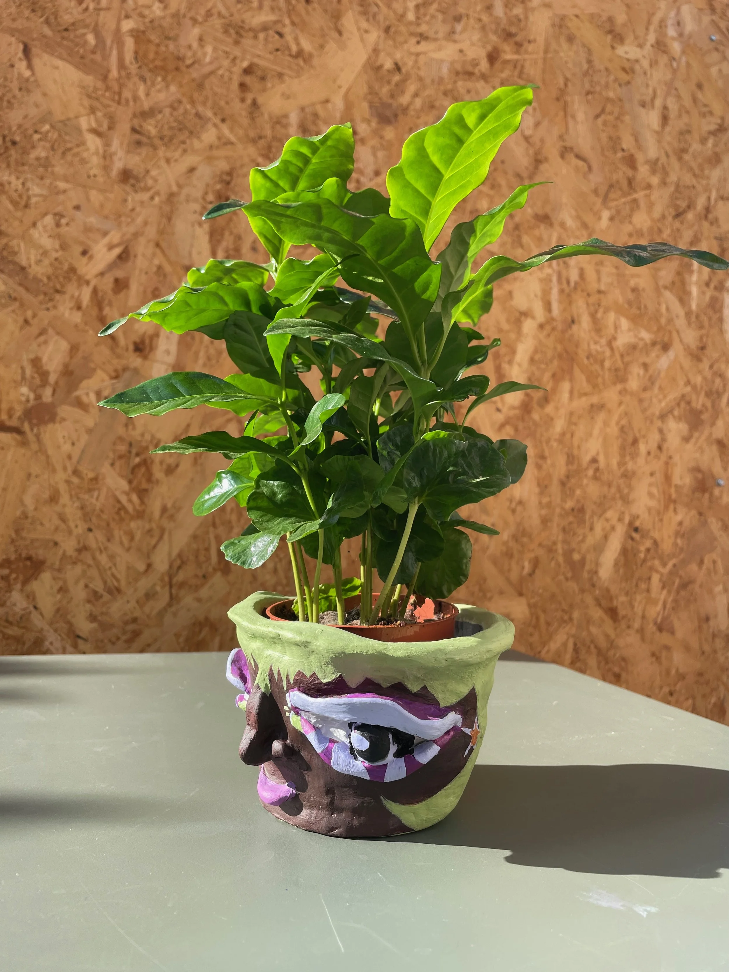 Plant Pot People