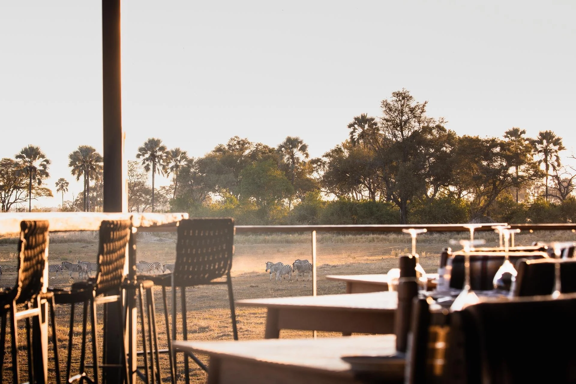 WILDCREST SAFARI,BOTSWANA, QOROKWE CAMP