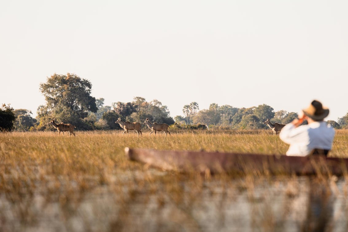 Erleben Sie Jacana / Botswana mit Wildcrets Safari 