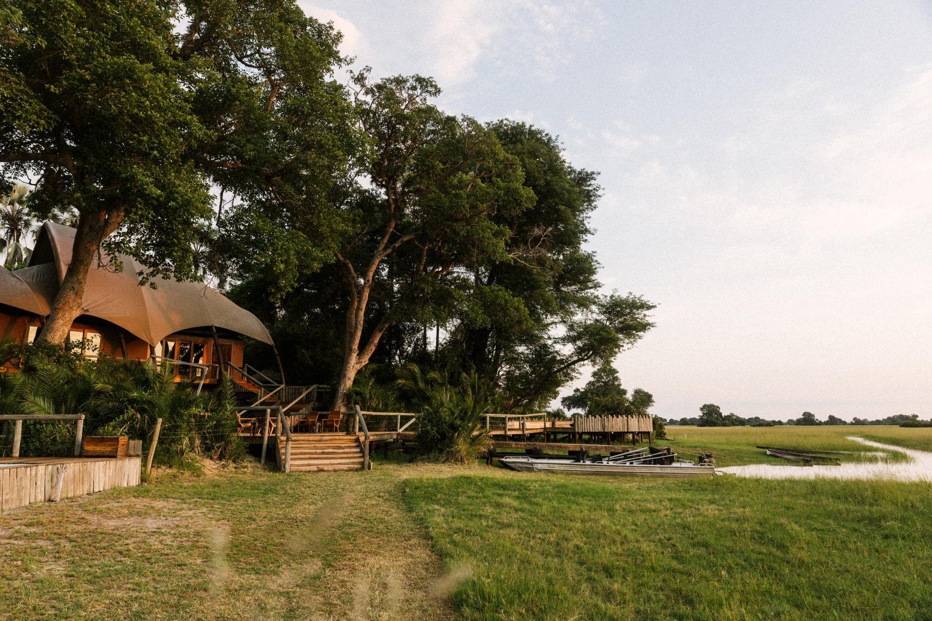 Jacana_Main Area_03-25_Kleinjan_High Res_0001.jpg