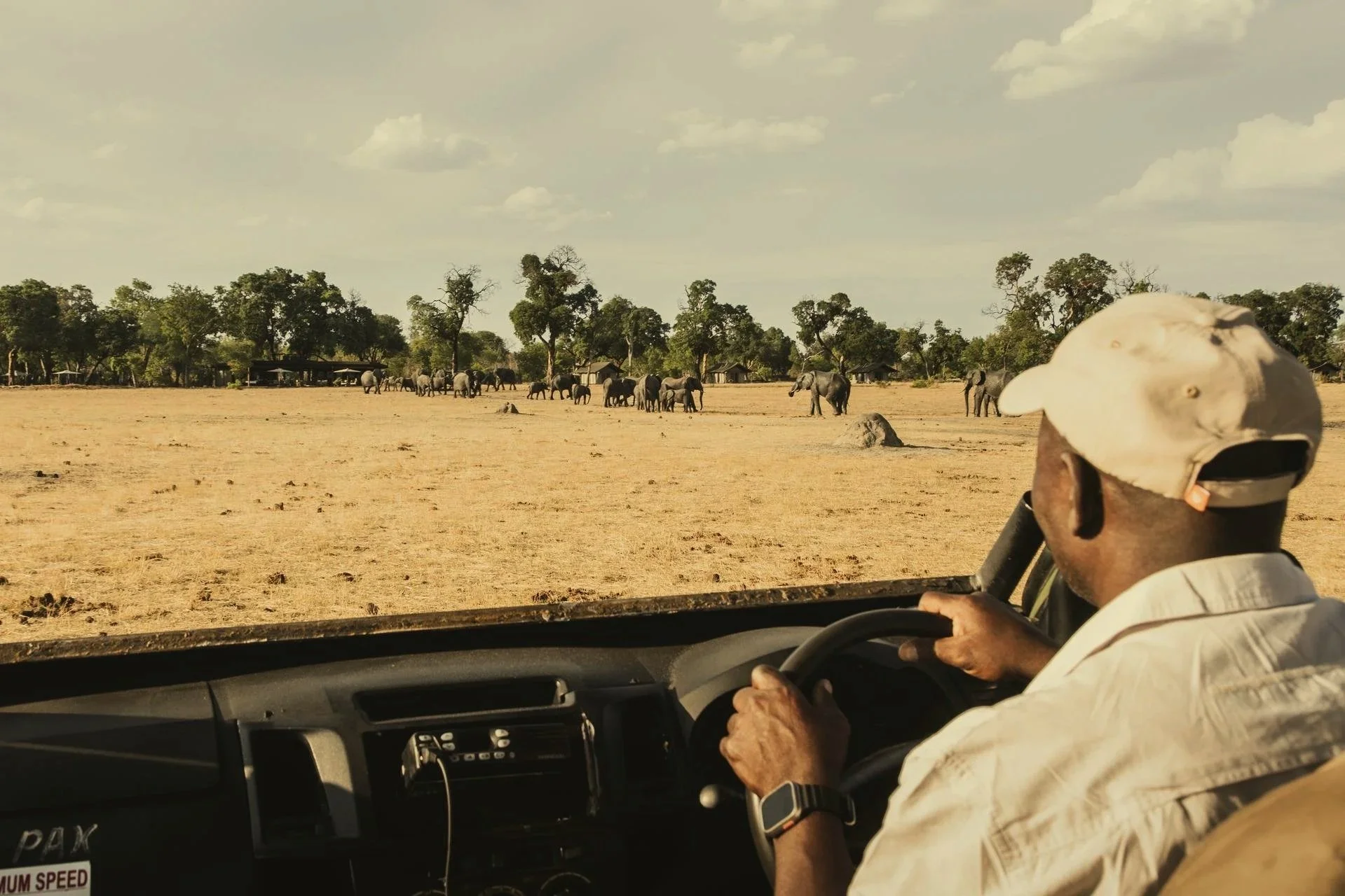 WILDCREST SAFARI-5 Tag