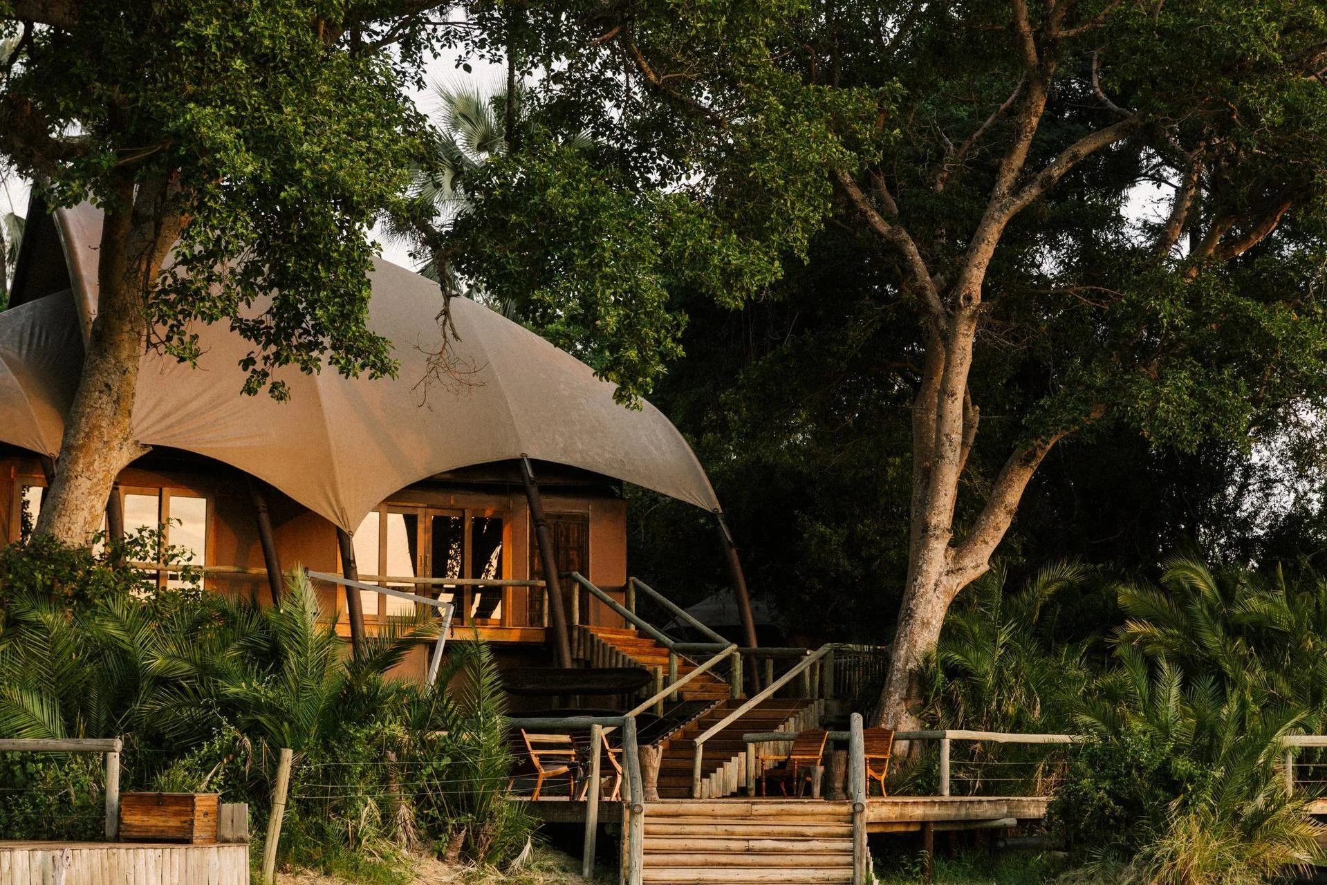 Jacana_Main Area_03-25_Kleinjan_High Res_0004.jpg