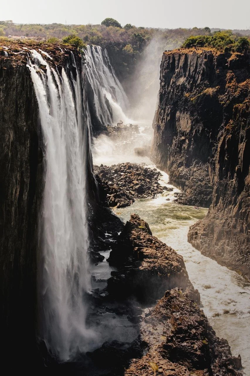 Löwe / Simbabwe / Wildcrest Safari 