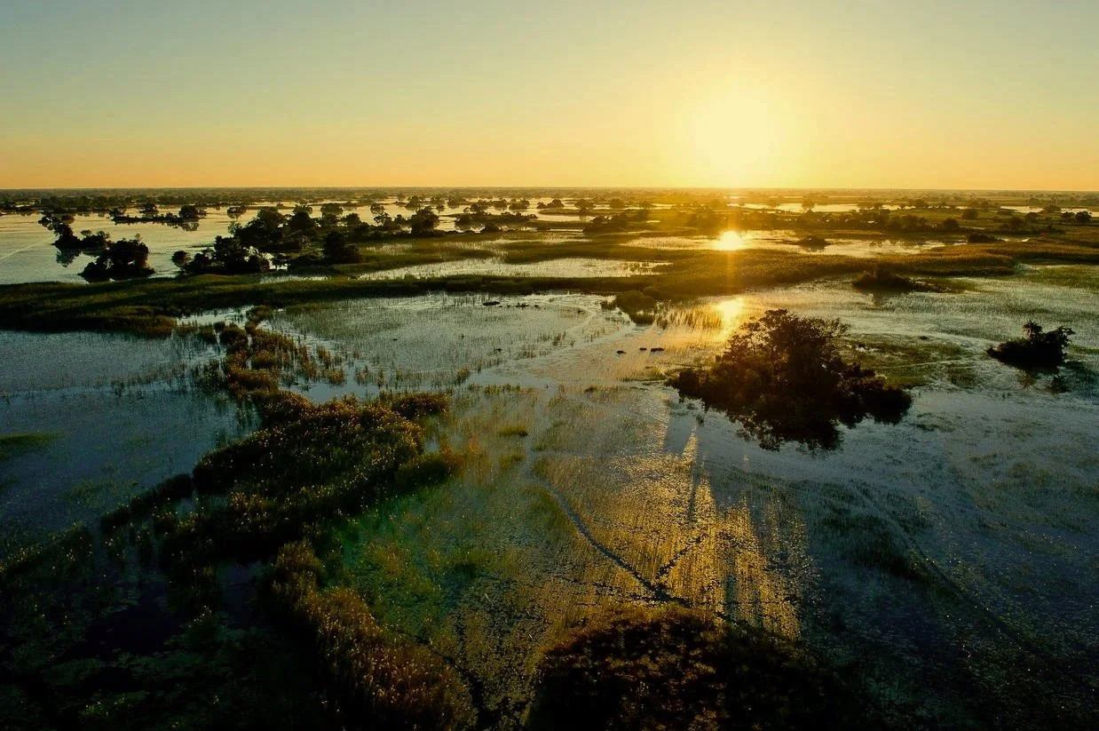 Botswana Okavango Delta zur Flood Season
