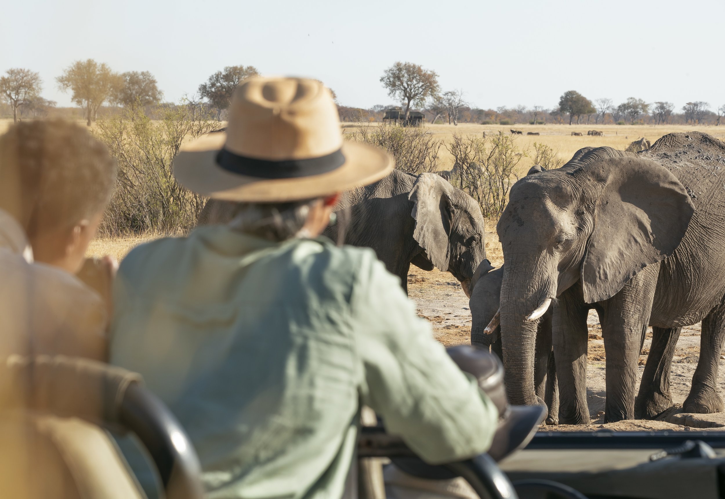 SIMBABWE-Safari Exklusive Safari Reise