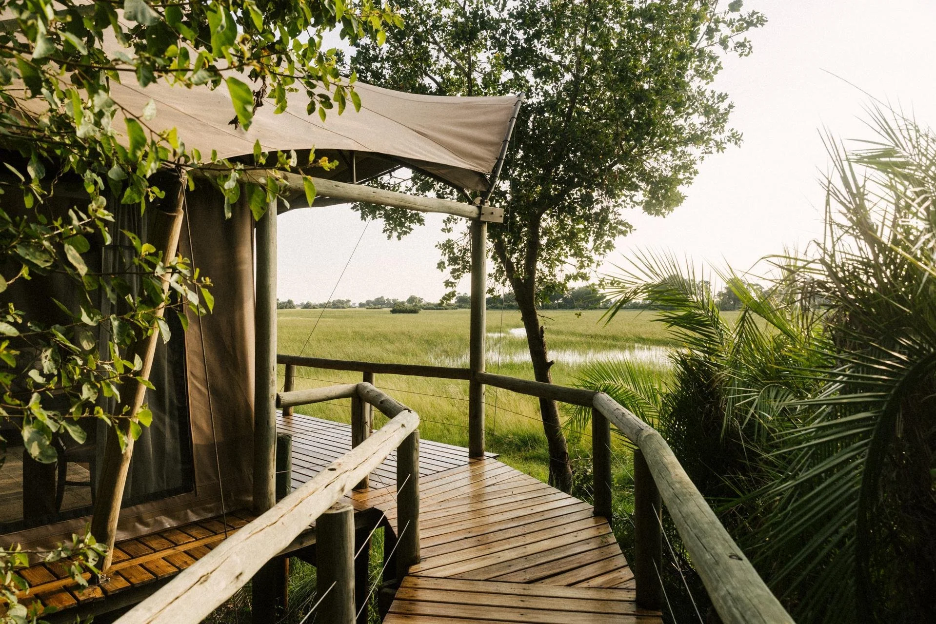 Jacana_Tented Room_03-25_Kleinjan_High Res_0001.jpg