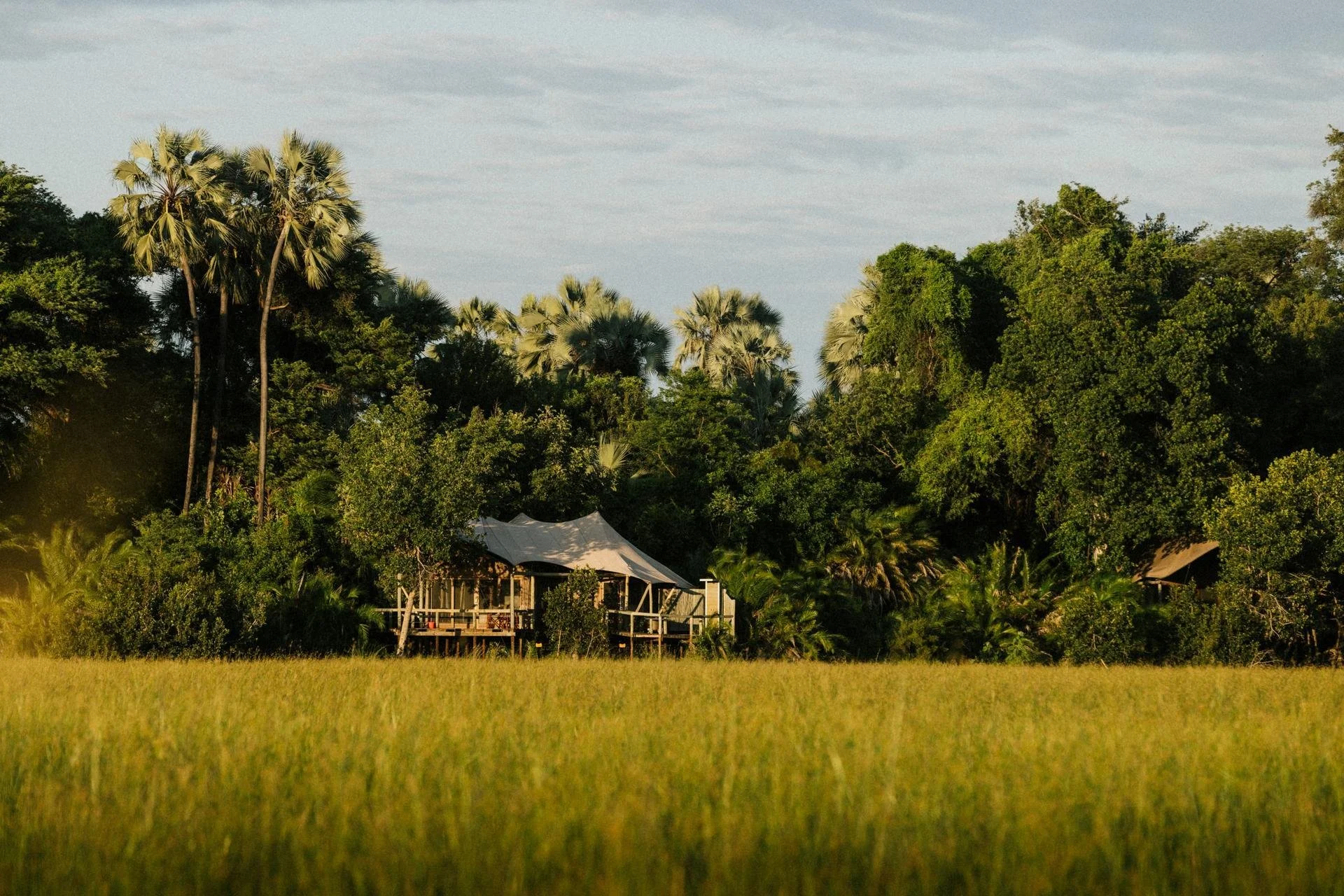 Jacana_Exterior_03-25_Kleinjan_High Res_0012.jpg