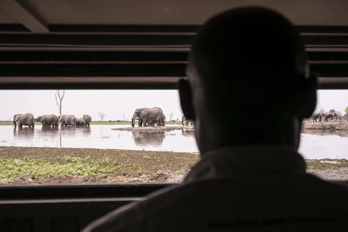 Mokete / Mababe / Wildcrest Safari