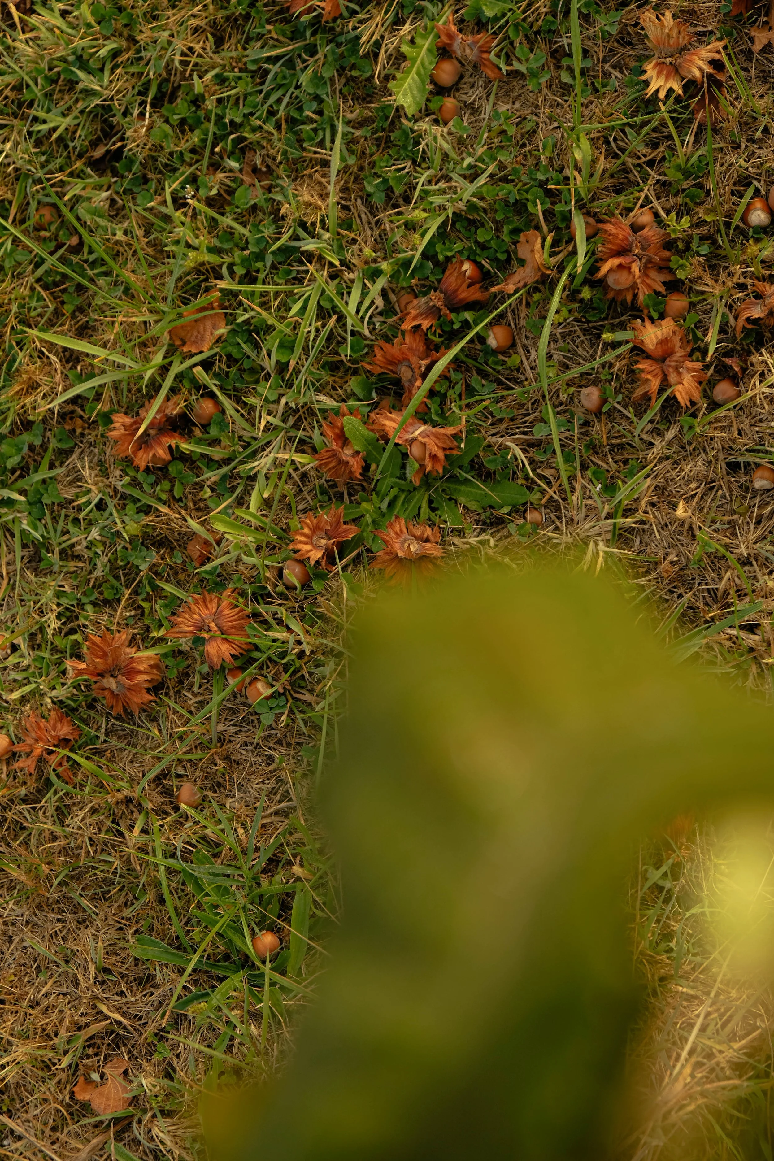 17092026-DSCF7415.jpg