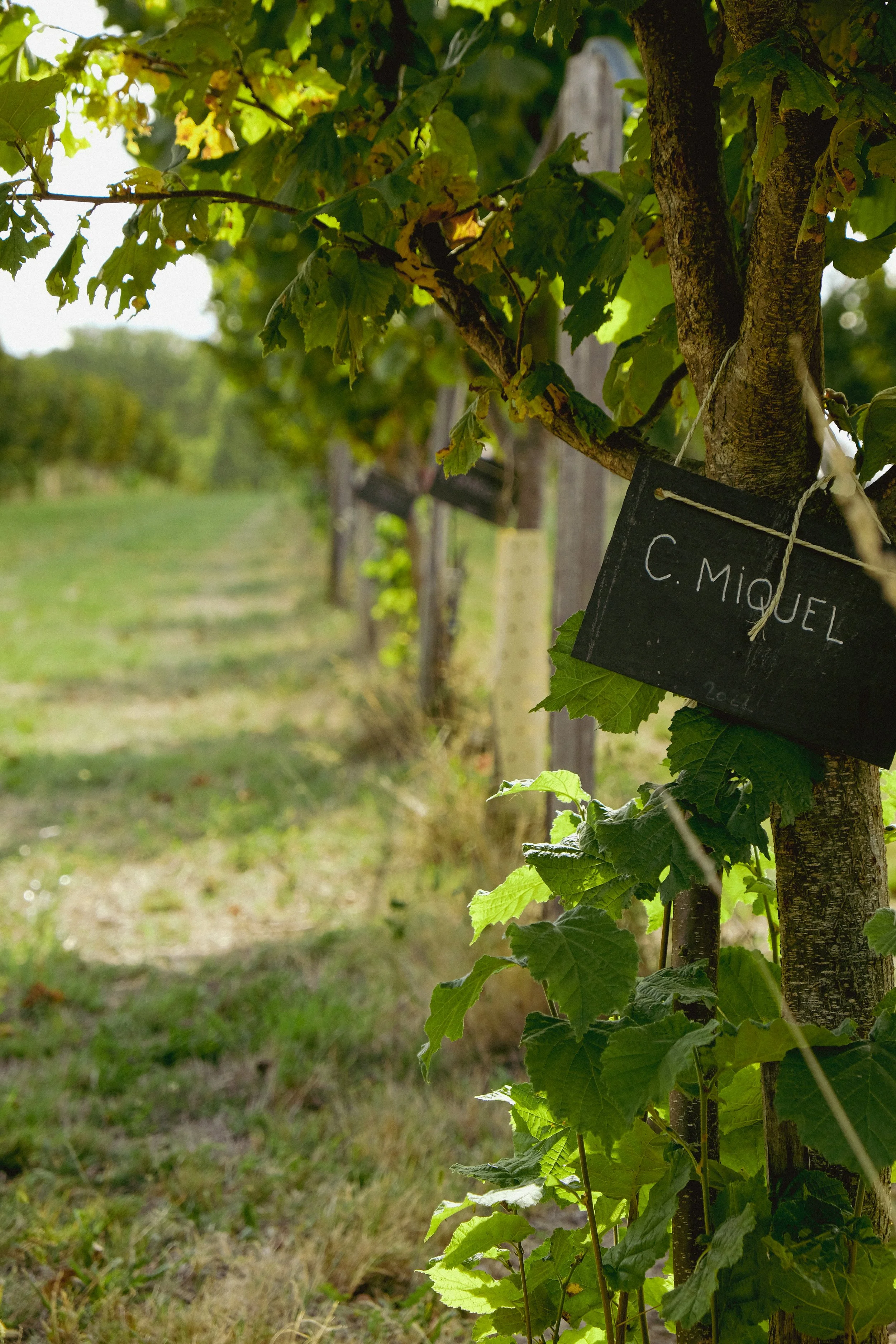 16092026-DSCF7029-2.jpg