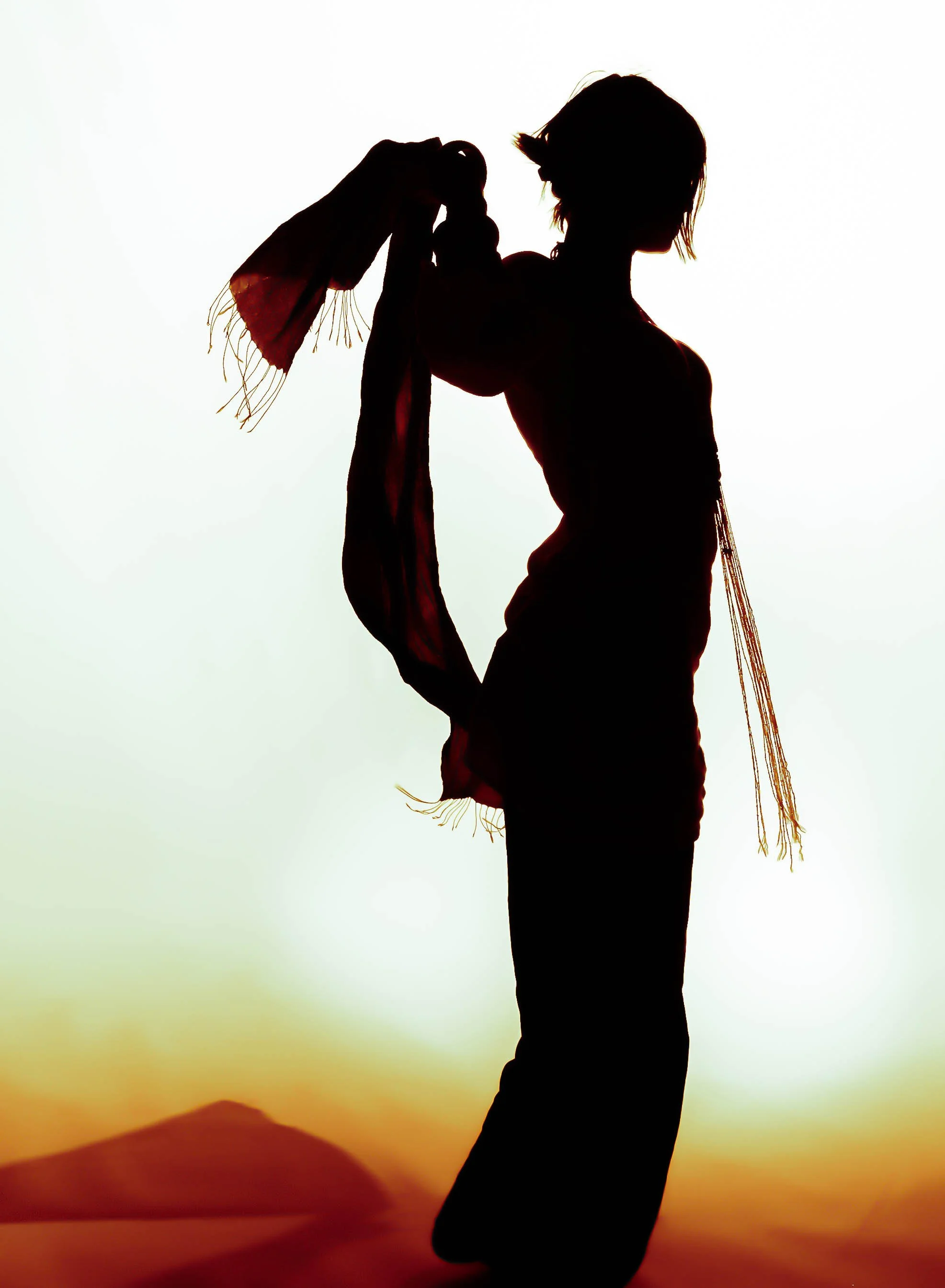 FINAL SILHOUETE.jpg
