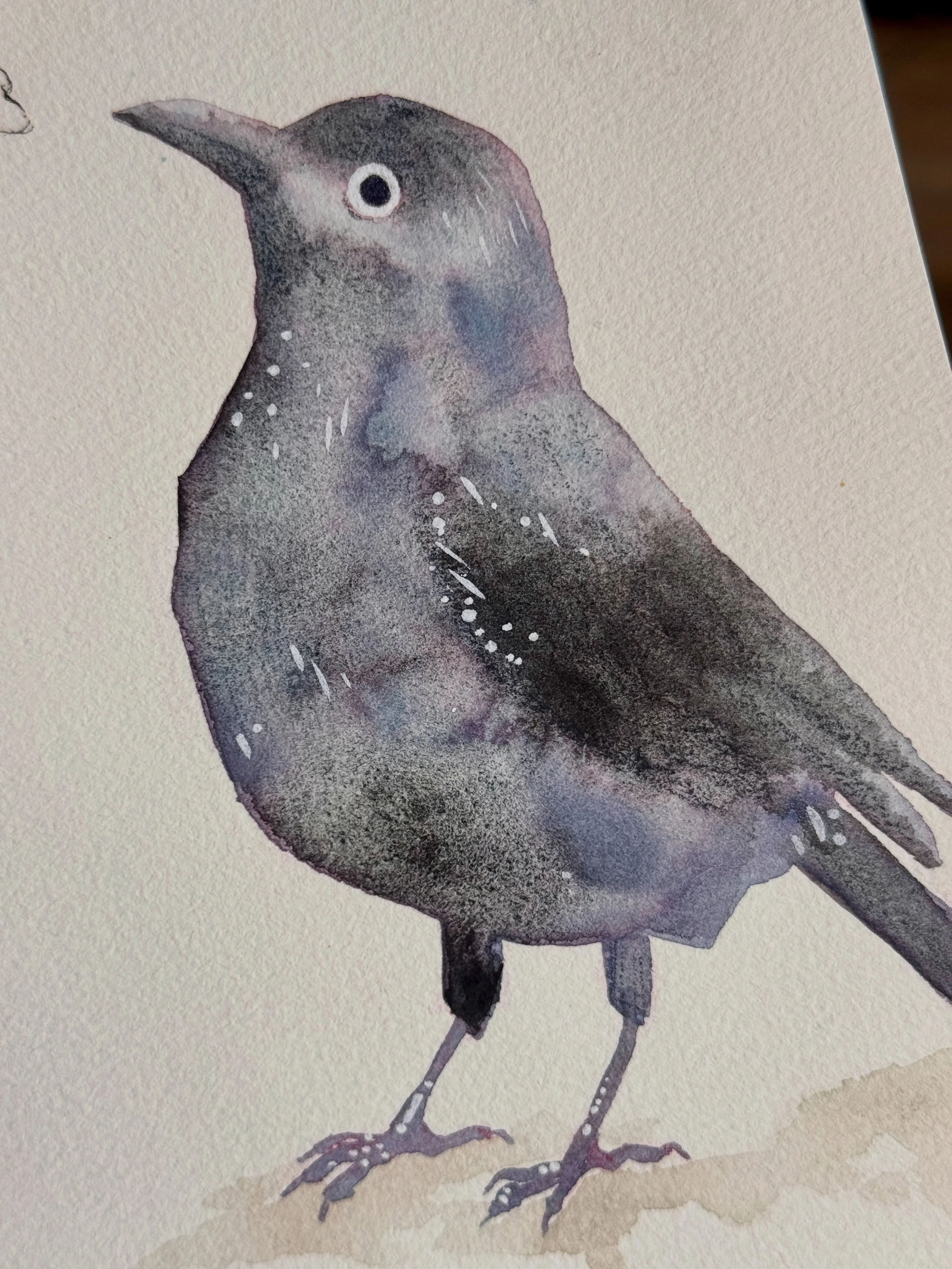 Day 1 of #peachtober26 🐦&zwj;⬛✨ (oak)

Are you participating in @peachtober this year Ragonda? No, sadly enough I&rsquo;m not. Buttt&hellip; when I do have free time I will try to draw some of the prompts here and there🥰 

Since I moved there has b