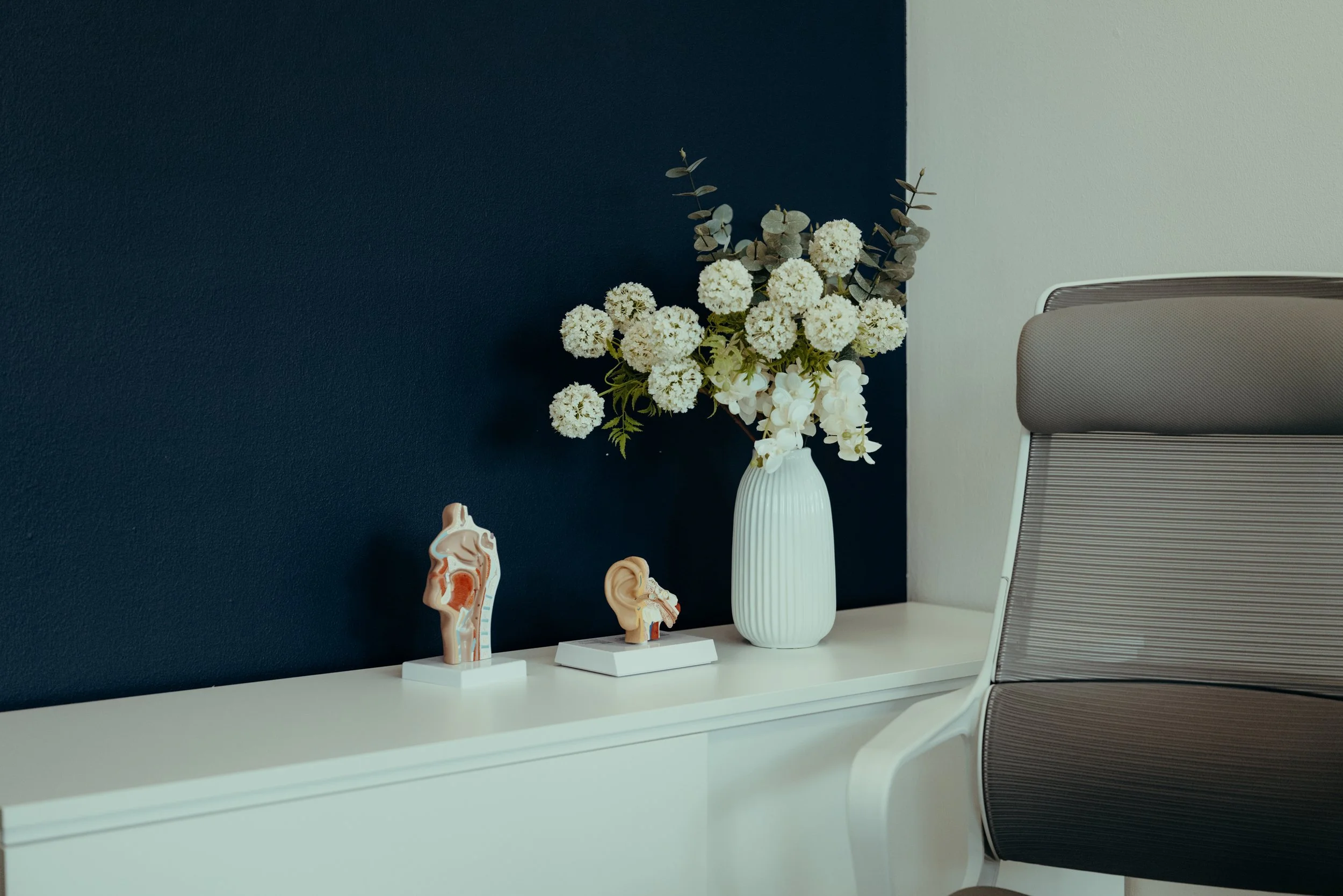 Ein weißer Tisch mit Modellansichten des menschlichen Ohrs, eine Vase mit weißen Blumen vor einer dunklen Wand, ein moderner Stuhl daneben.
