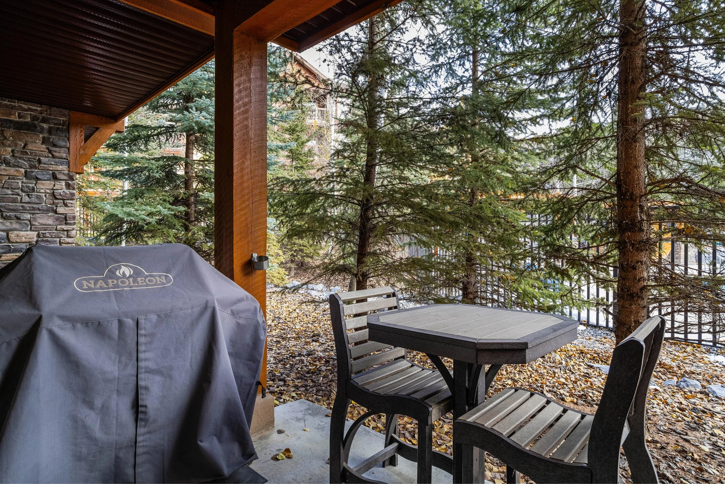 Patio &amp; BBQ (Copy)