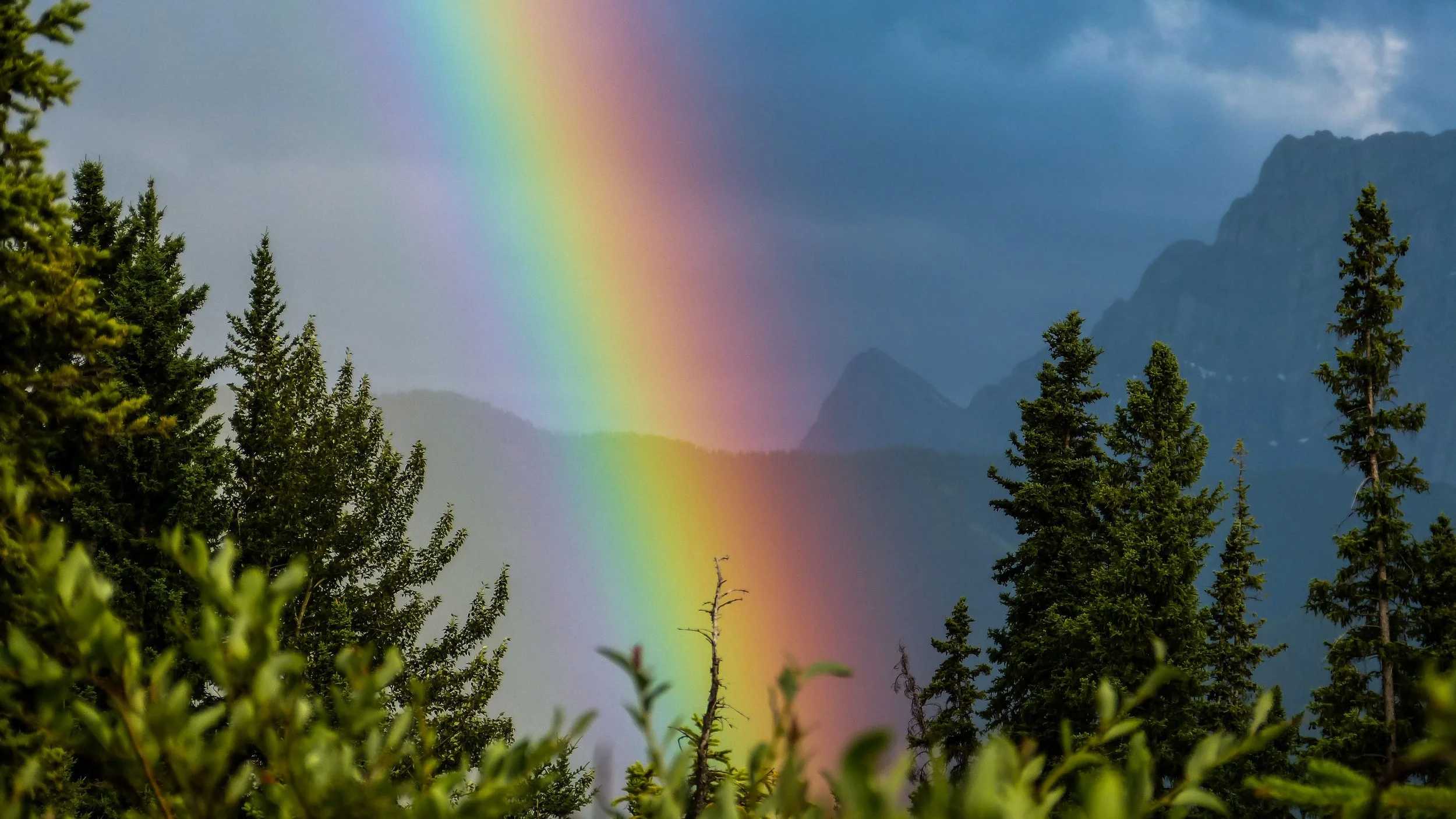 Summer in Canmore: