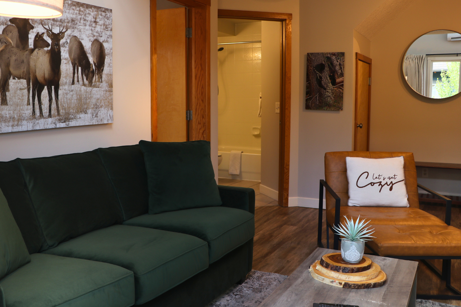 Cozy Living Room w/ New Sofa-bed!