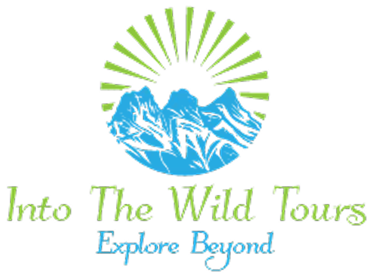 Logo featuring a blue mountain range with a sun rising behind it, and the text "Intro The Wild Tours" in light green and "Explore Beyond" in blue.