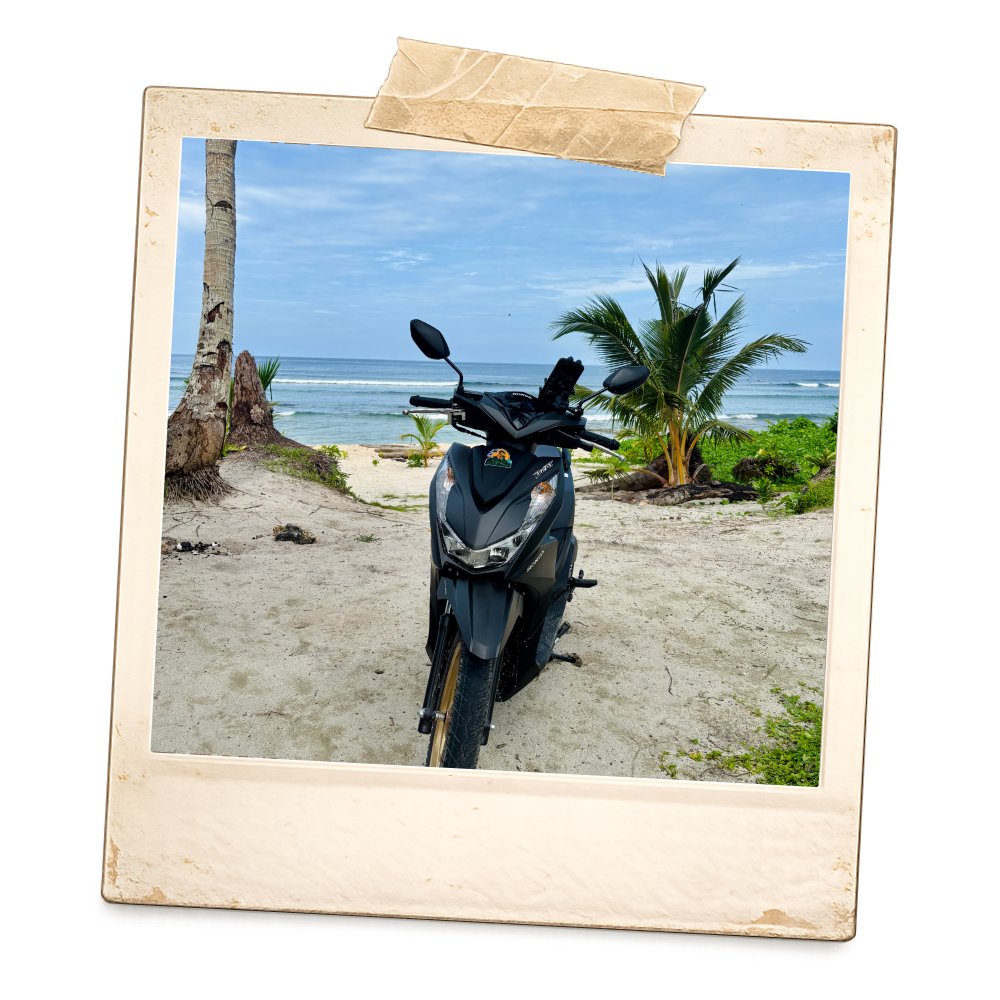 A motorcycle parked on a sandy beach with palm trees and the ocean in the background.