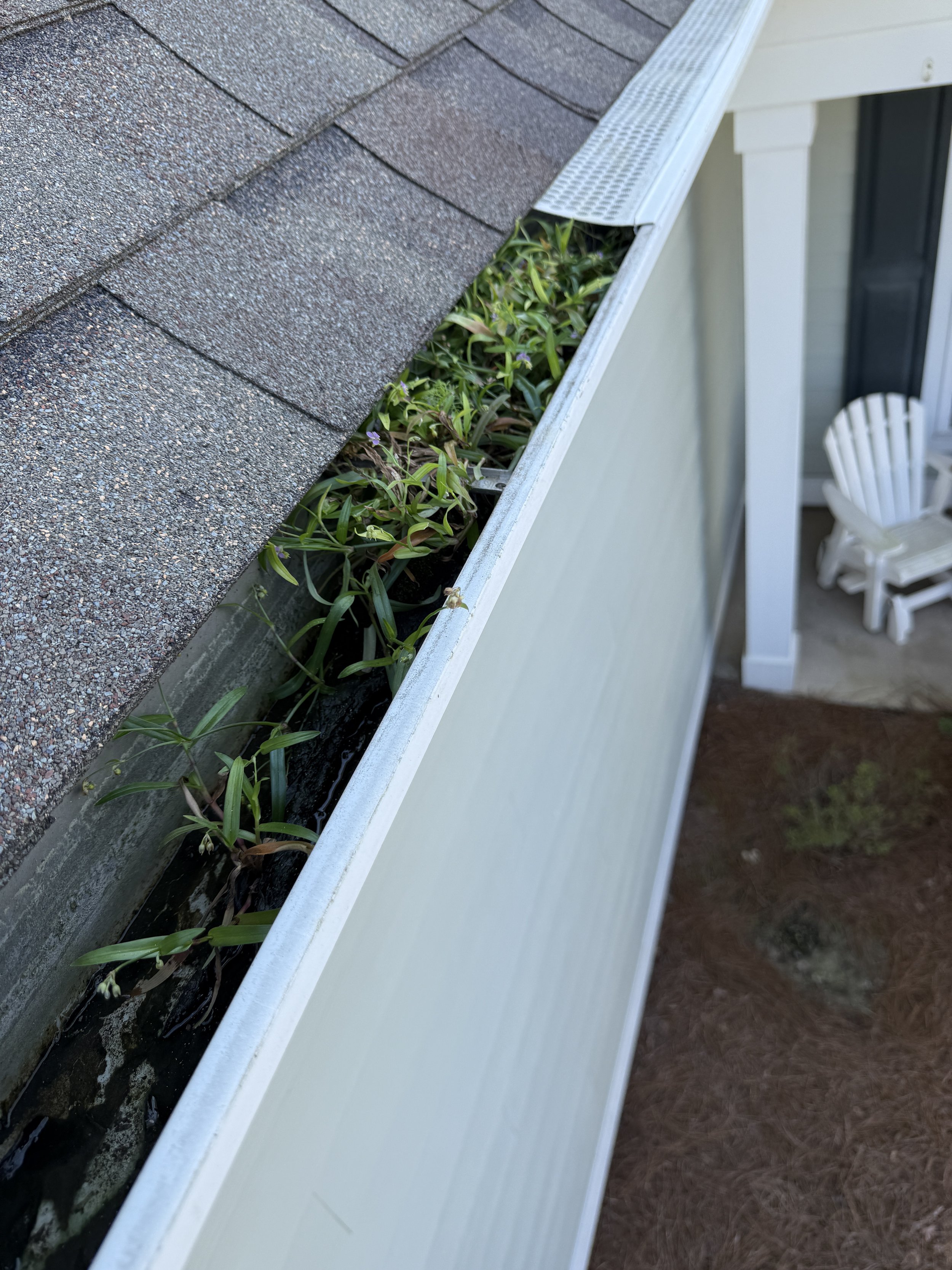 Salty Gutter Cleaning