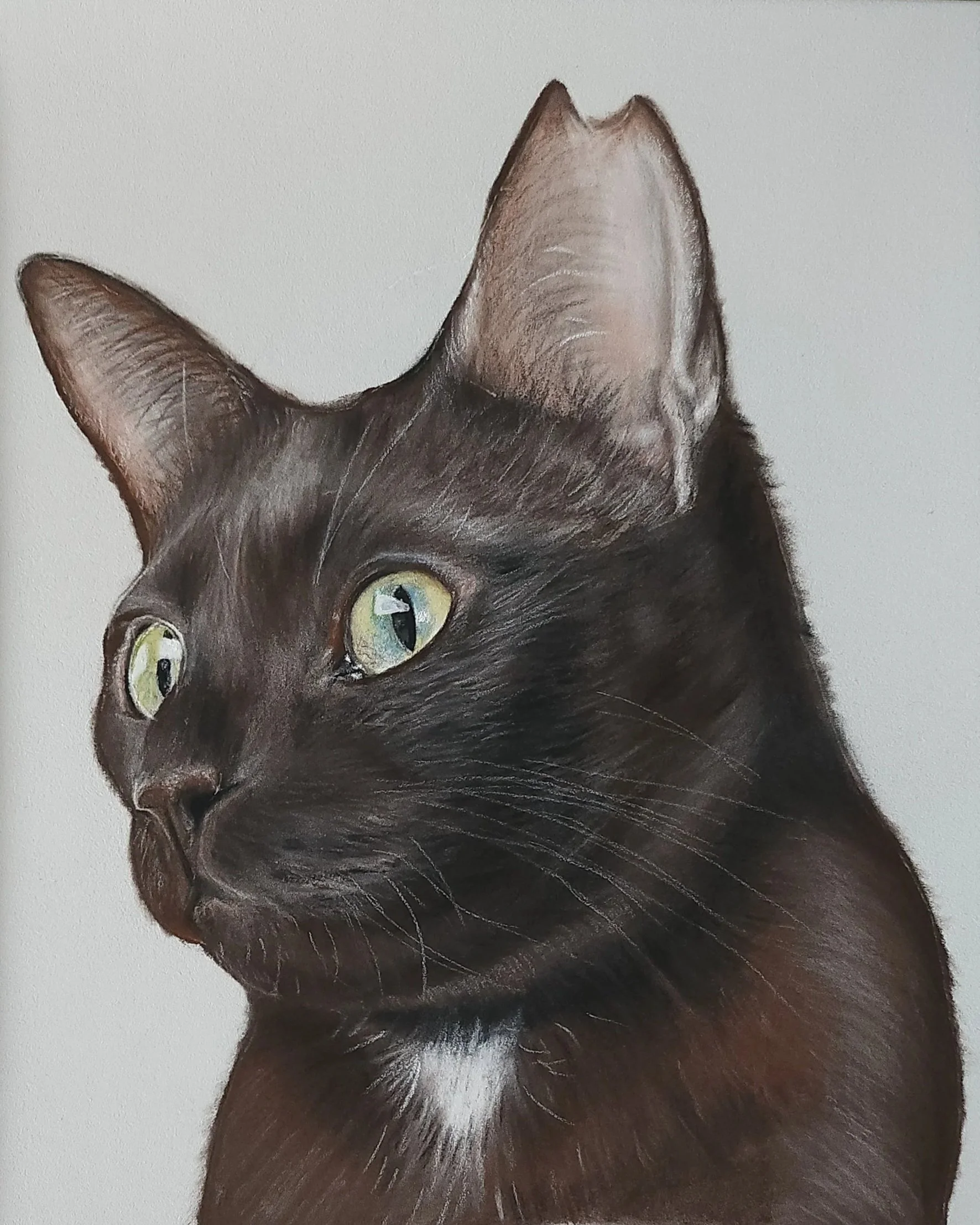 A4 Pet Portrait