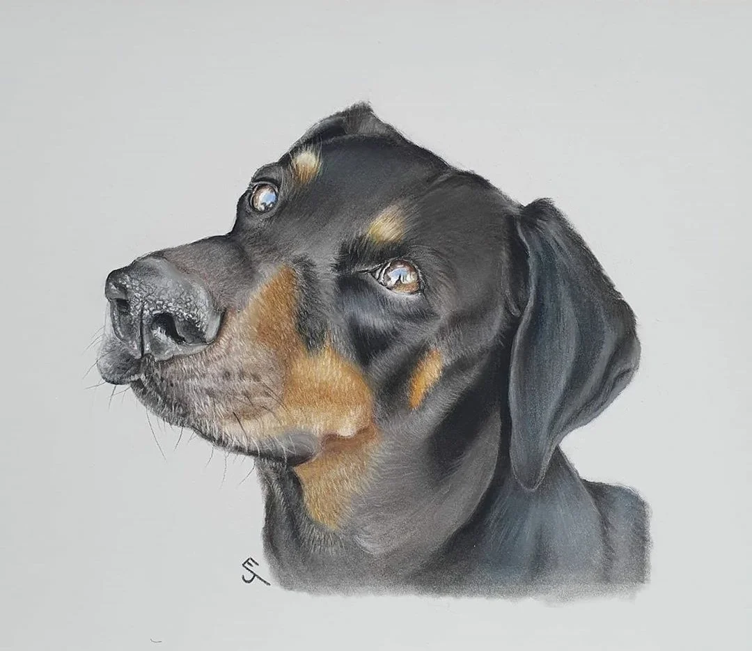 A3 Pet Portrait