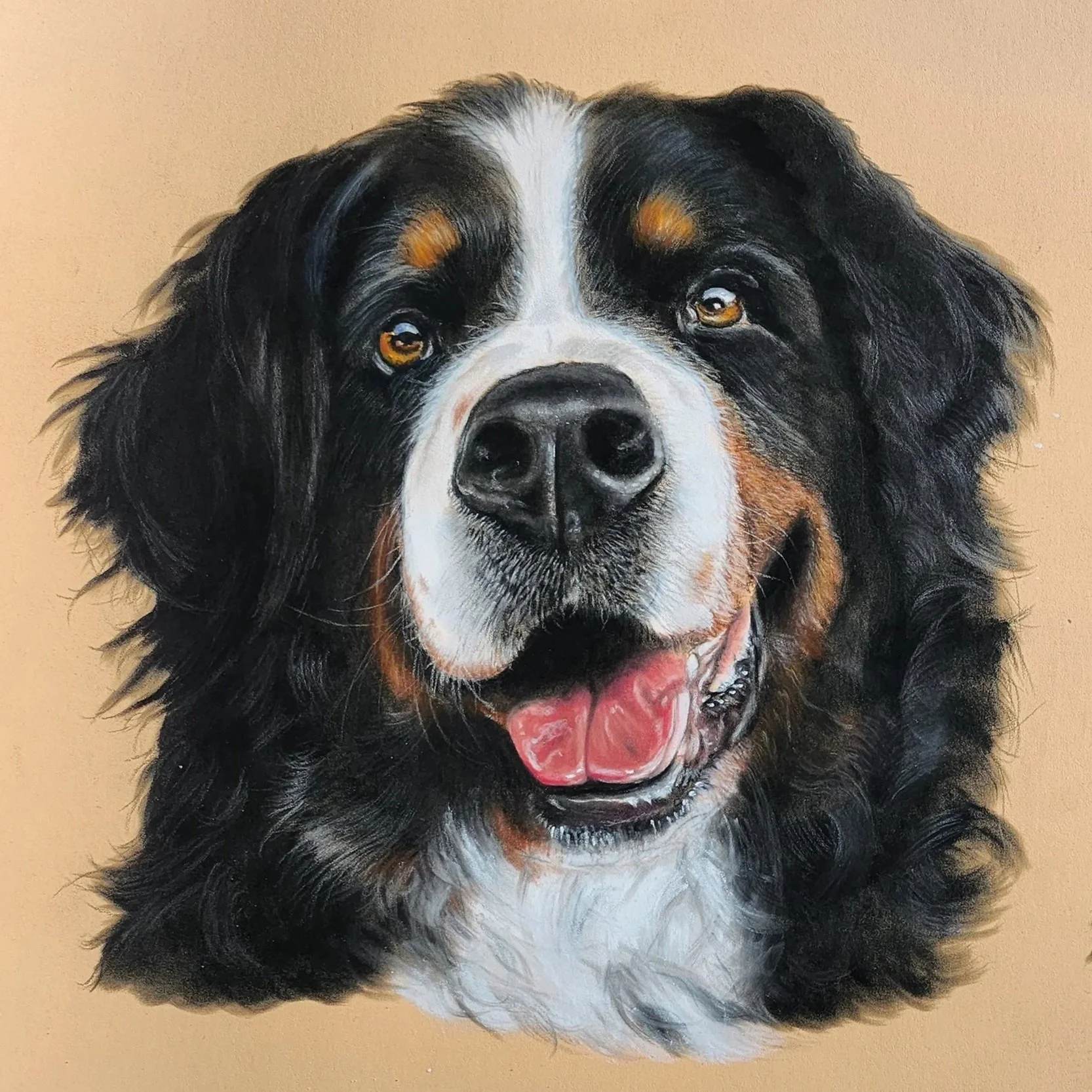 A1 Pet Portrait