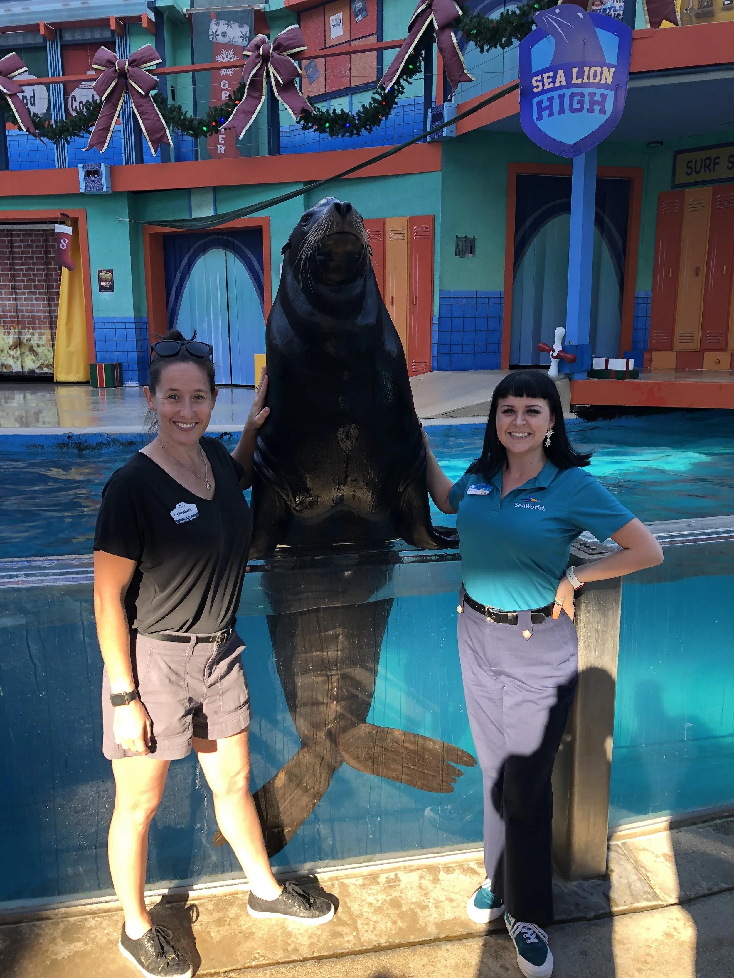Two women posing with a sea lion at SeaWorld, standing on either side of the sea lion, in front of a colorful backdrop with sea-themed decorations and a sign that reads 'Sea Lion High.'