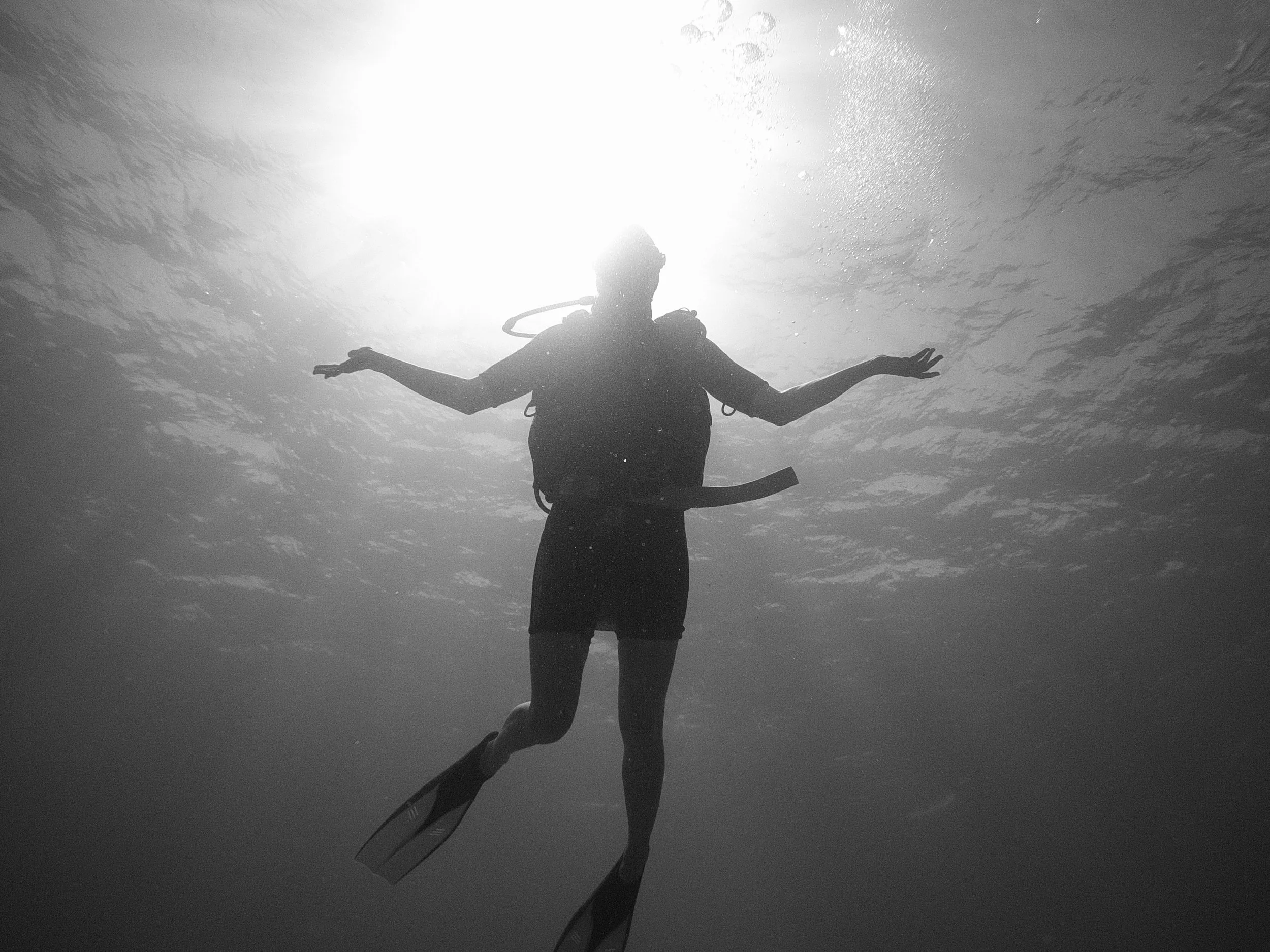Silhouette of a person scuba diving underwater with the sun shining overhead