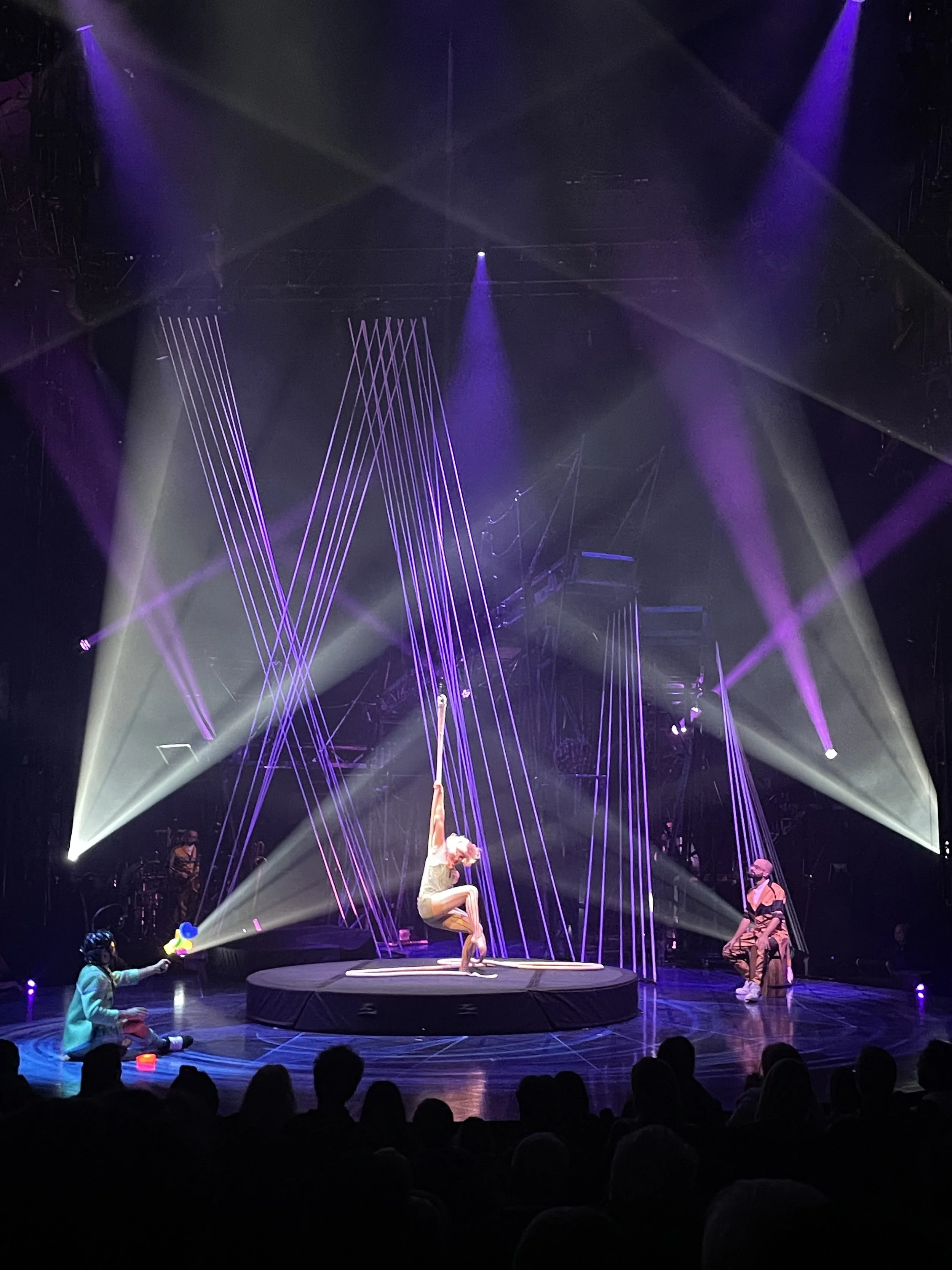 A circus performance featuring a performer hanging from a rope, surrounded by purple laser lights and acrobatic performers, with an audience watching in the dark.