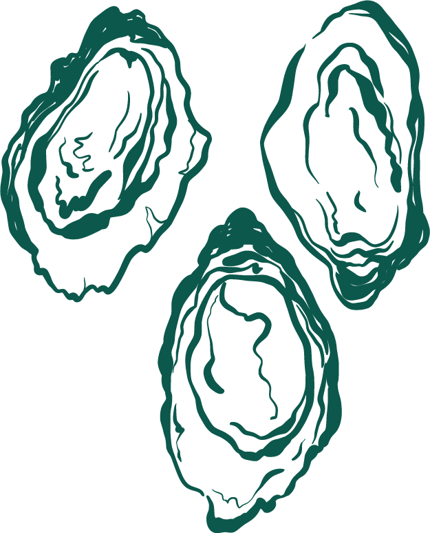 Illustration of three oyster shells with detailed line patterns, set against a black background.