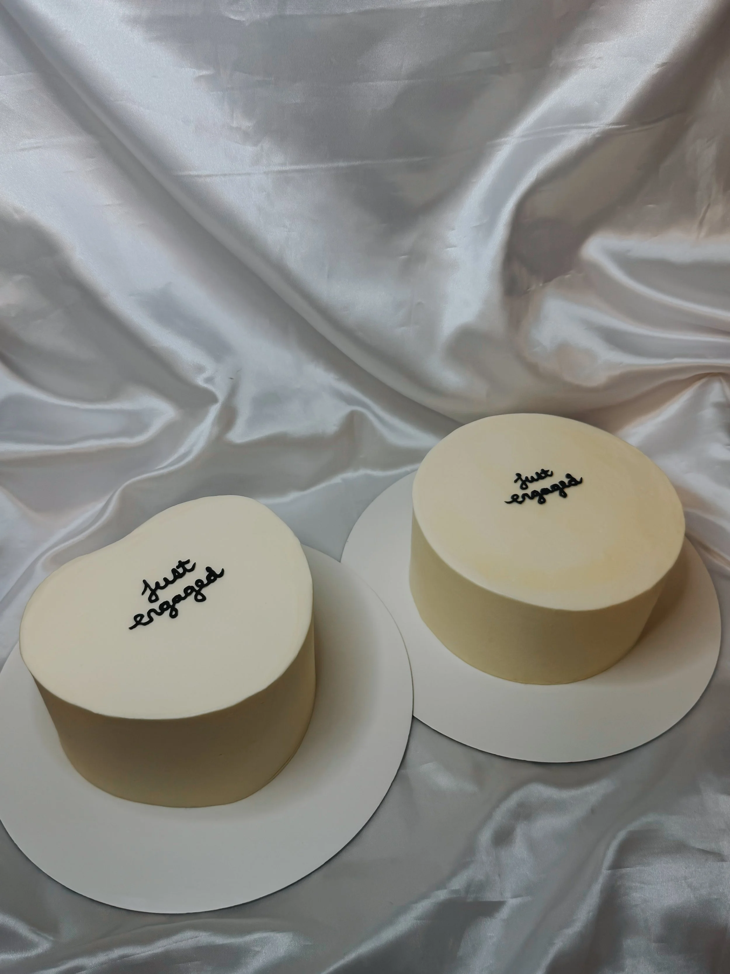 just engaged duo.JPG