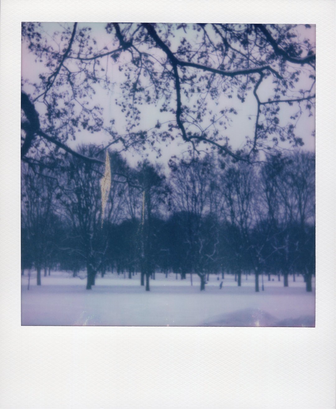 Winter stroll
Oslo, Norway
2023/01/07