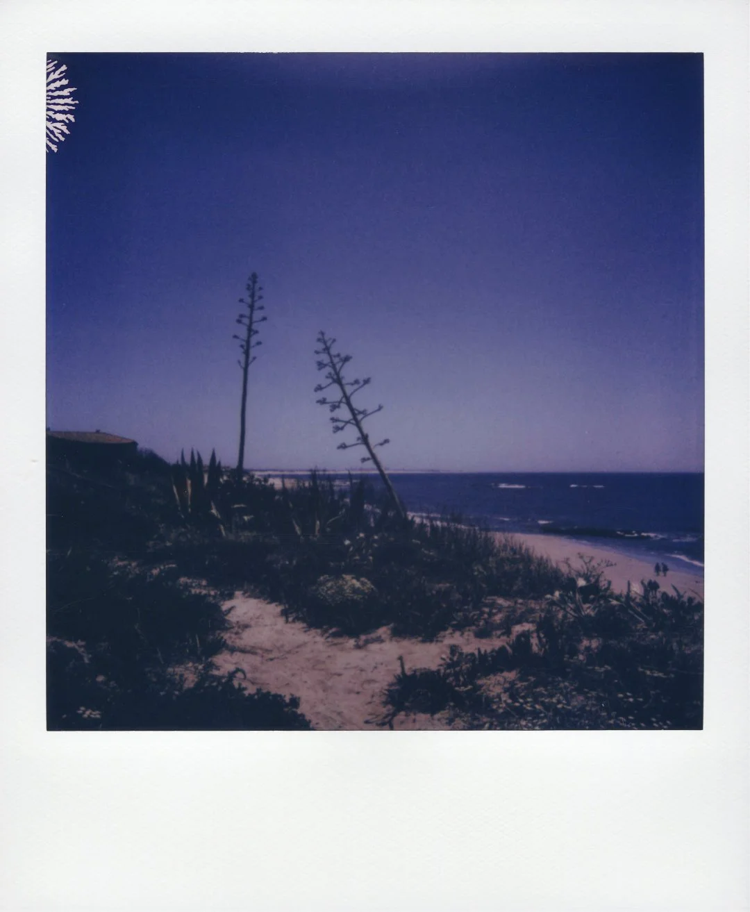 Sand garden
Fão, Portugal
2023/07/11