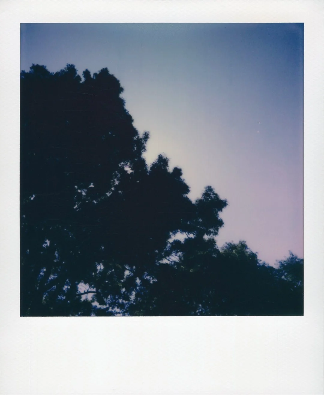 An afternoon at Stensparken